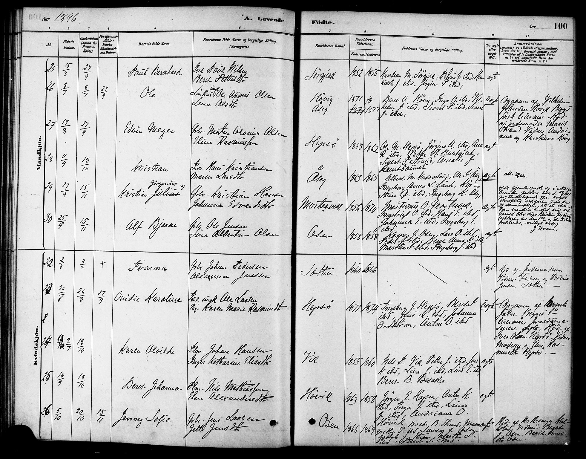 Ministerialprotokoller, klokkerbøker og fødselsregistre - Sør-Trøndelag, SAT/A-1456/658/L0722: Parish register (official) no. 658A01, 1879-1896, p. 100
