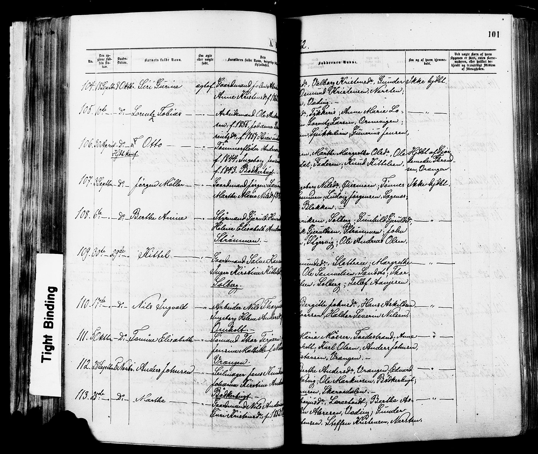 Øyestad sokneprestkontor, SAK/1111-0049/F/Fa/L0016: Parish register (official) no. A 16, 1874-1886, p. 101