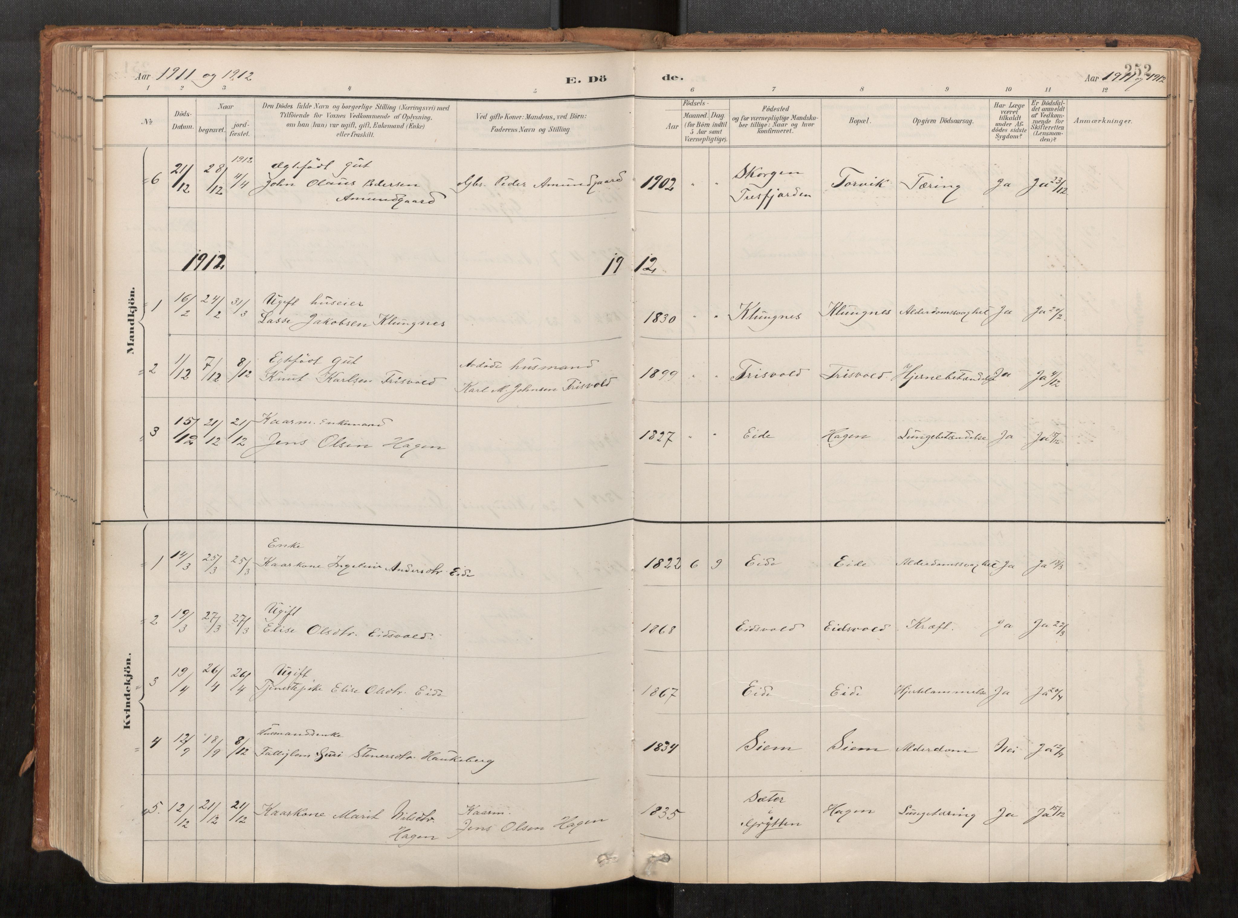 Ministerialprotokoller, klokkerbøker og fødselsregistre - Møre og Romsdal, SAT/A-1454/542/L0553: Parish register (official) no. 542A03, 1885-1925, p. 252
