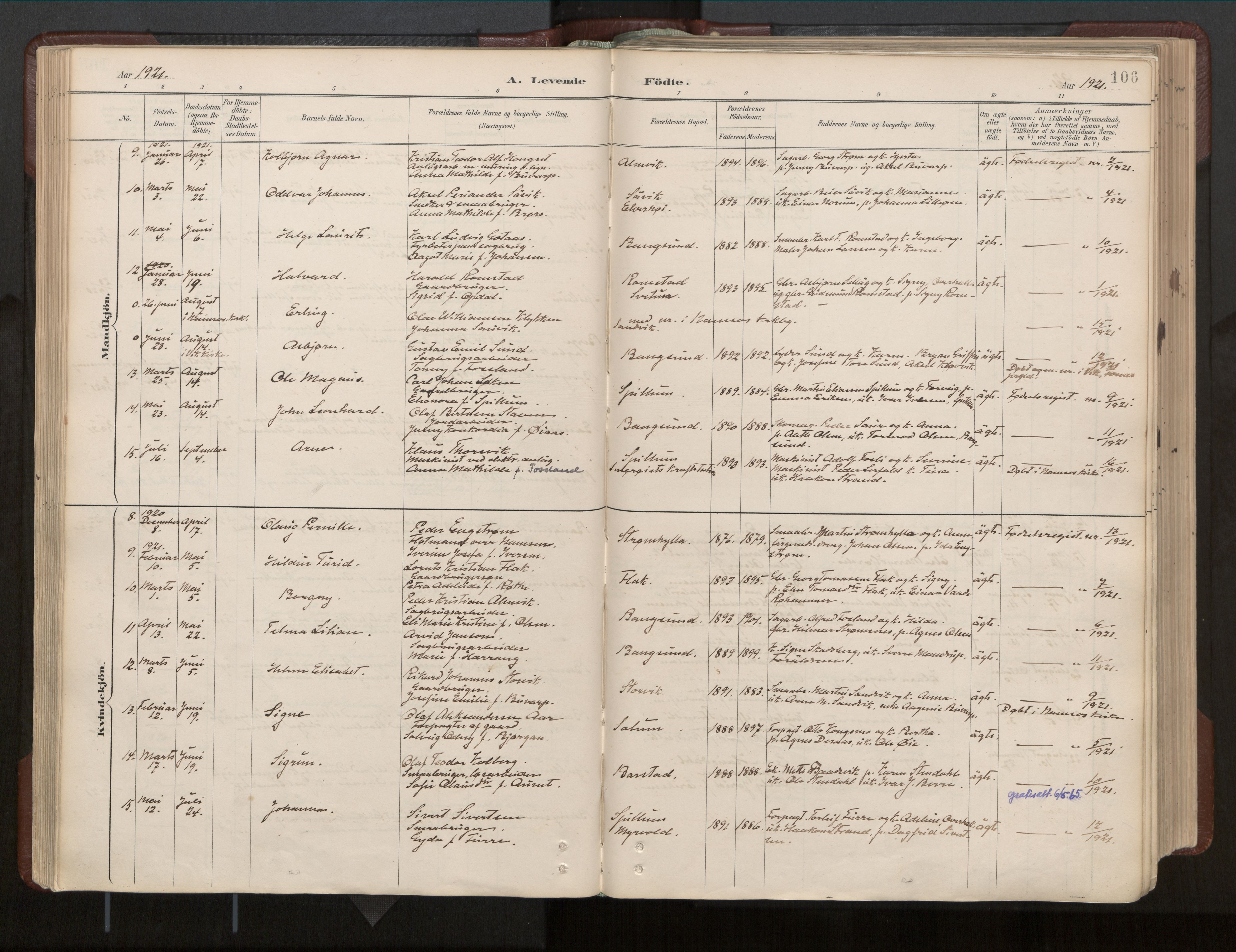 Ministerialprotokoller, klokkerbøker og fødselsregistre - Nord-Trøndelag, SAT/A-1458/770/L0589: Parish register (official) no. 770A03, 1887-1929, p. 106