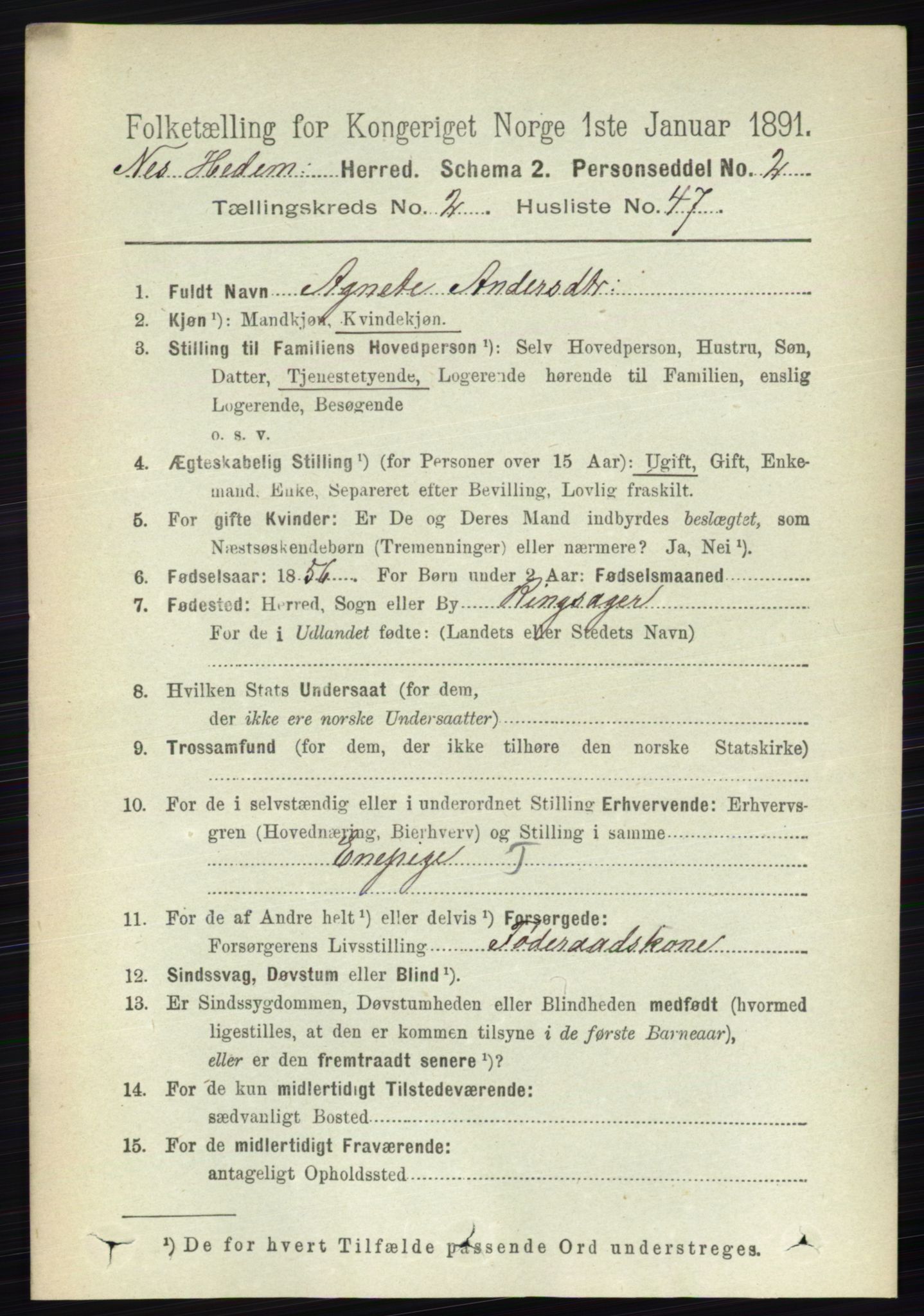 RA, 1891 census for 0411 Nes, 1891, p. 1411