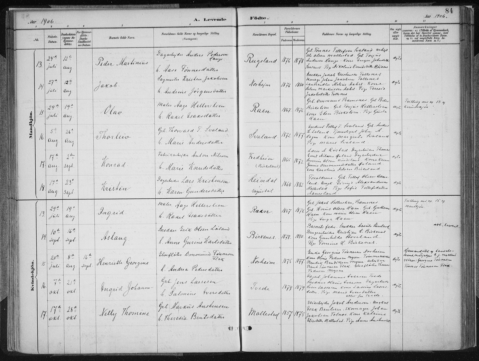 Birkenes sokneprestkontor, AV/SAK-1111-0004/F/Fa/L0005: Parish register (official) no. A 5, 1887-1907, p. 84