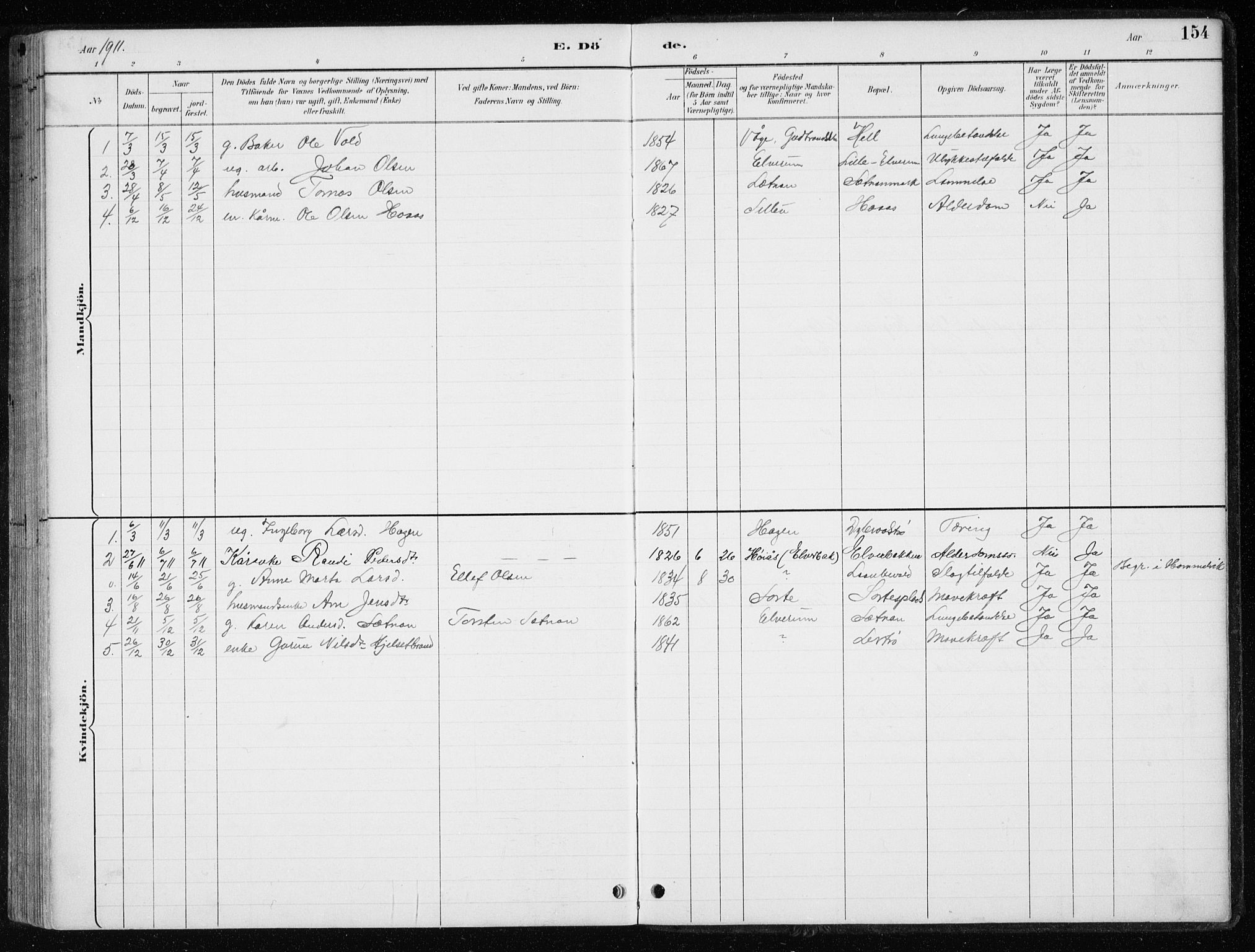 Ministerialprotokoller, klokkerbøker og fødselsregistre - Nord-Trøndelag, SAT/A-1458/710/L0096: Parish register (copy) no. 710C01, 1892-1925, p. 154