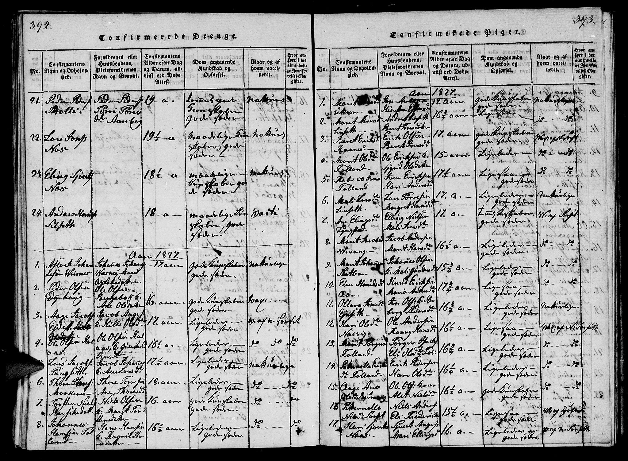 Ministerialprotokoller, klokkerbøker og fødselsregistre - Møre og Romsdal, AV/SAT-A-1454/570/L0831: Parish register (official) no. 570A05, 1819-1829, p. 392-393