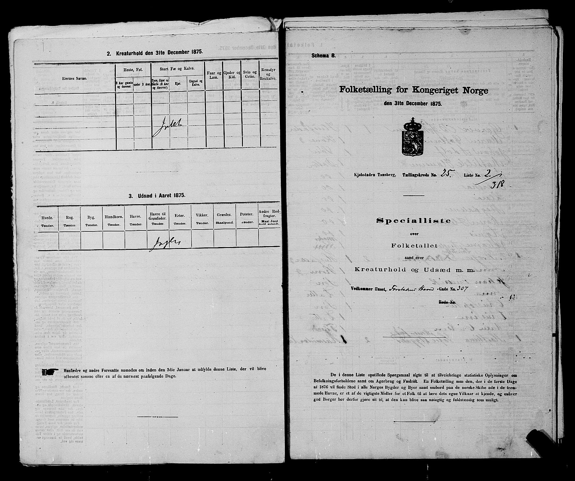 SAKO, 1875 census for 0705P Tønsberg, 1875, p. 776