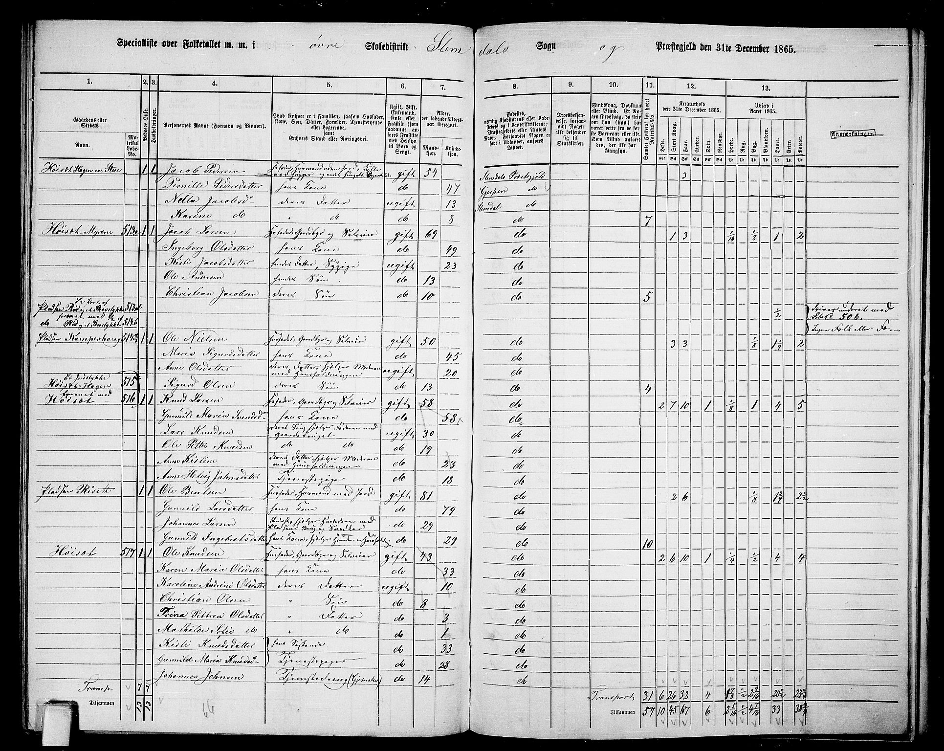 RA, 1865 census for Slemdal, 1865, p. 19