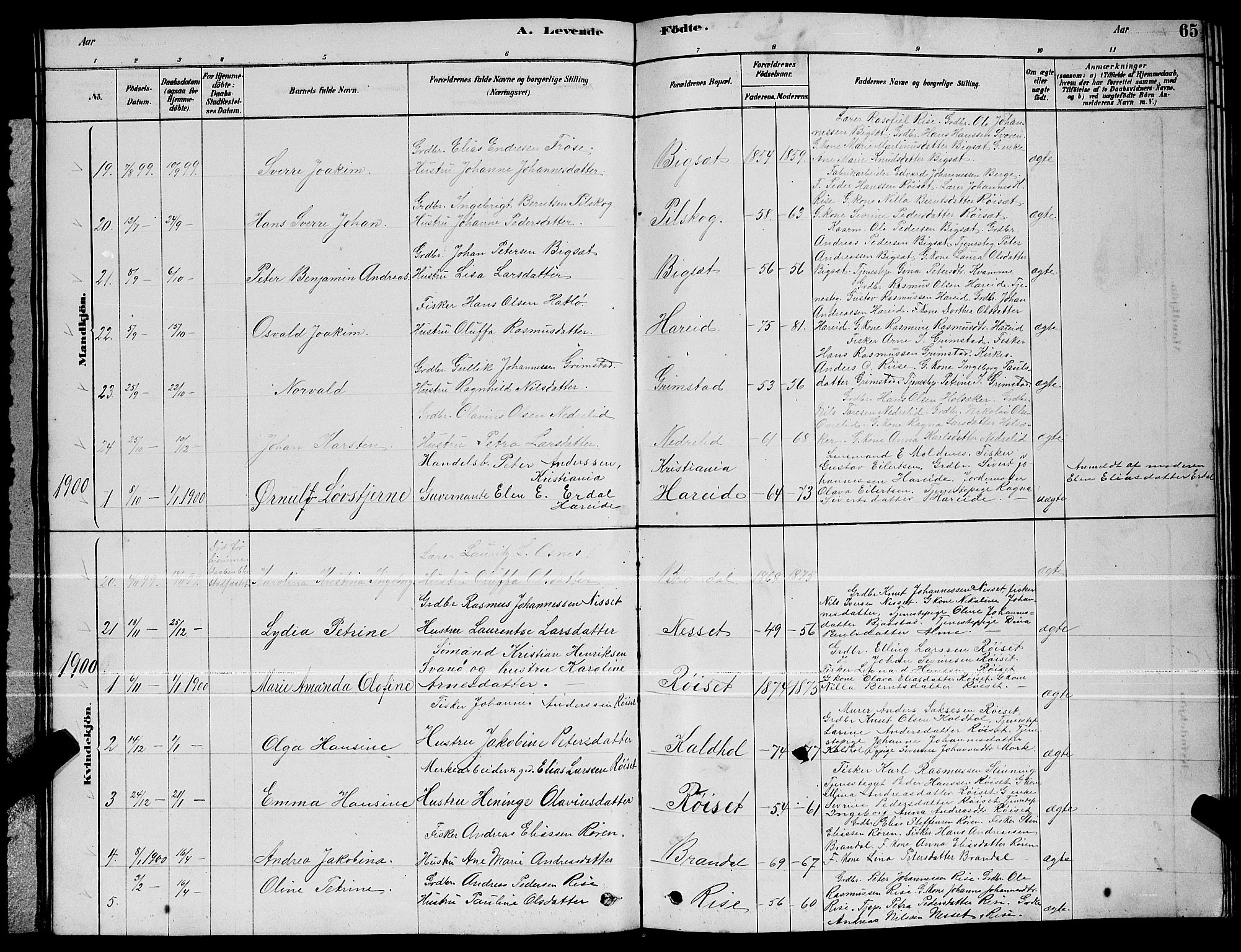 Ministerialprotokoller, klokkerbøker og fødselsregistre - Møre og Romsdal, AV/SAT-A-1454/510/L0125: Parish register (copy) no. 510C02, 1878-1900, p. 65