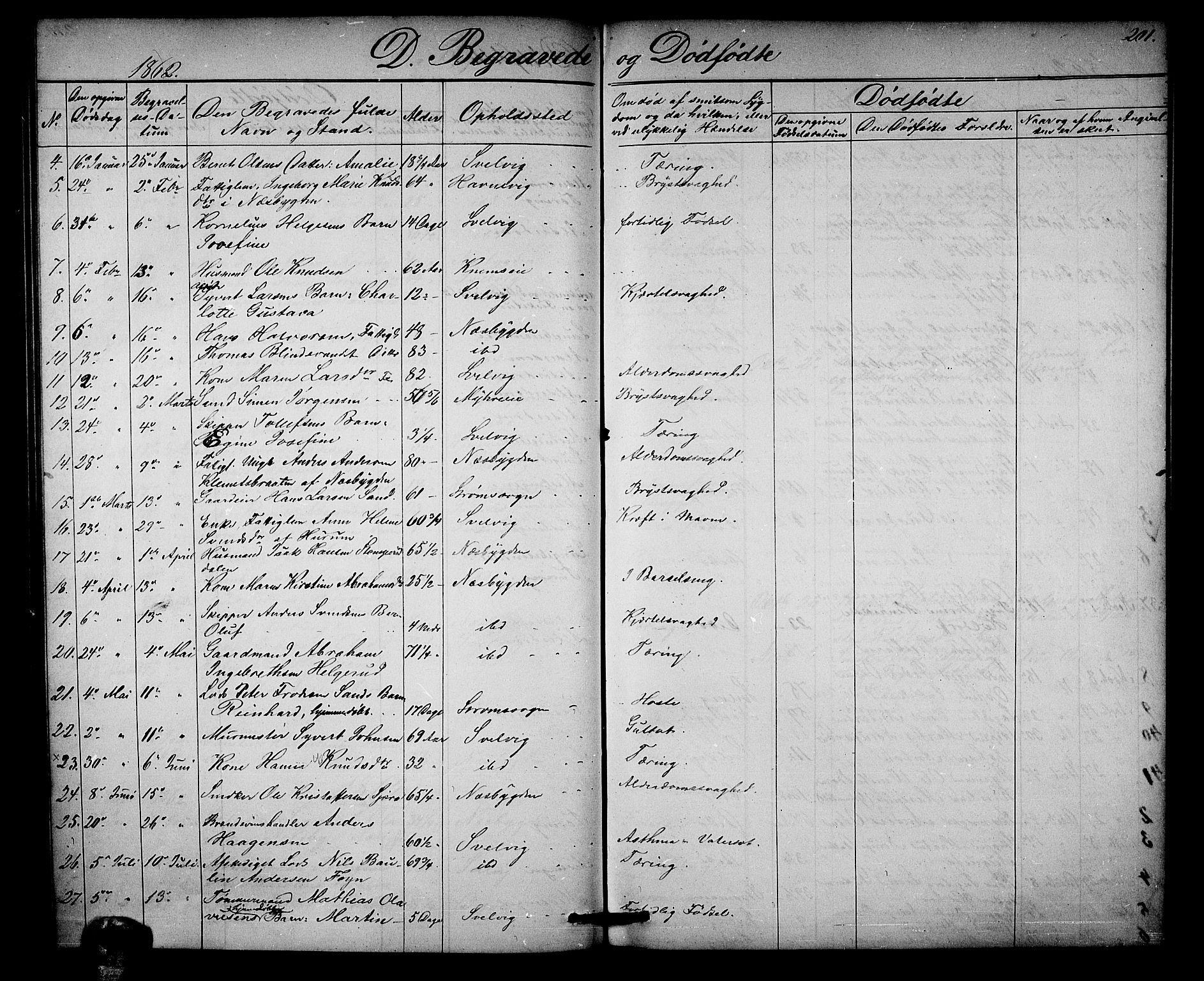 Strømm kirkebøker, AV/SAKO-A-322/G/Ga/L0001: Parish register (copy) no. I 1, 1861-1885, p. 201