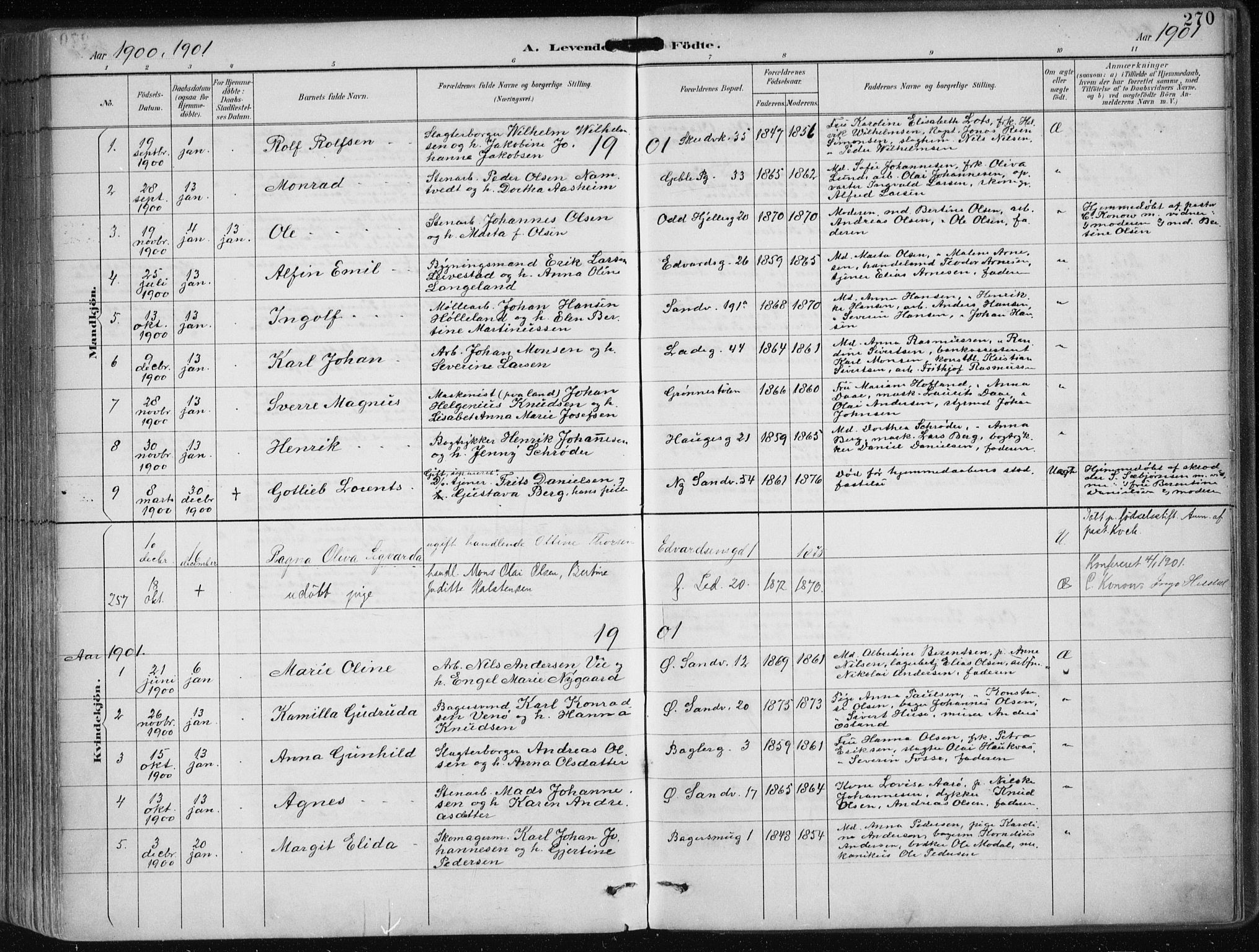 Sandviken Sokneprestembete, AV/SAB-A-77601/H/Ha/L0005: Parish register (official) no. B 2, 1891-1901, p. 270