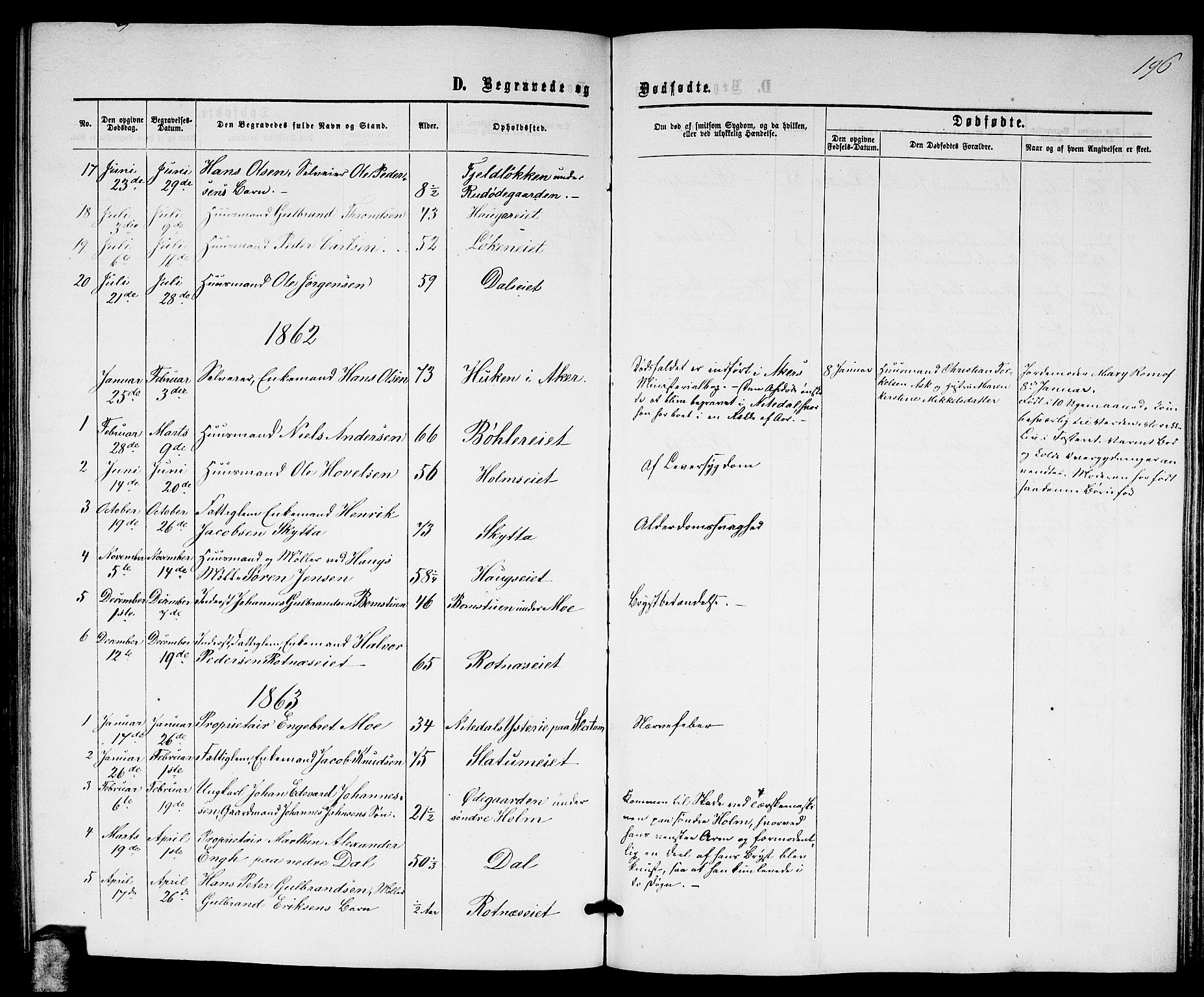 Nittedal prestekontor Kirkebøker, AV/SAO-A-10365a/G/Ga/L0001: Parish register (copy) no. I 1, 1859-1878, p. 196