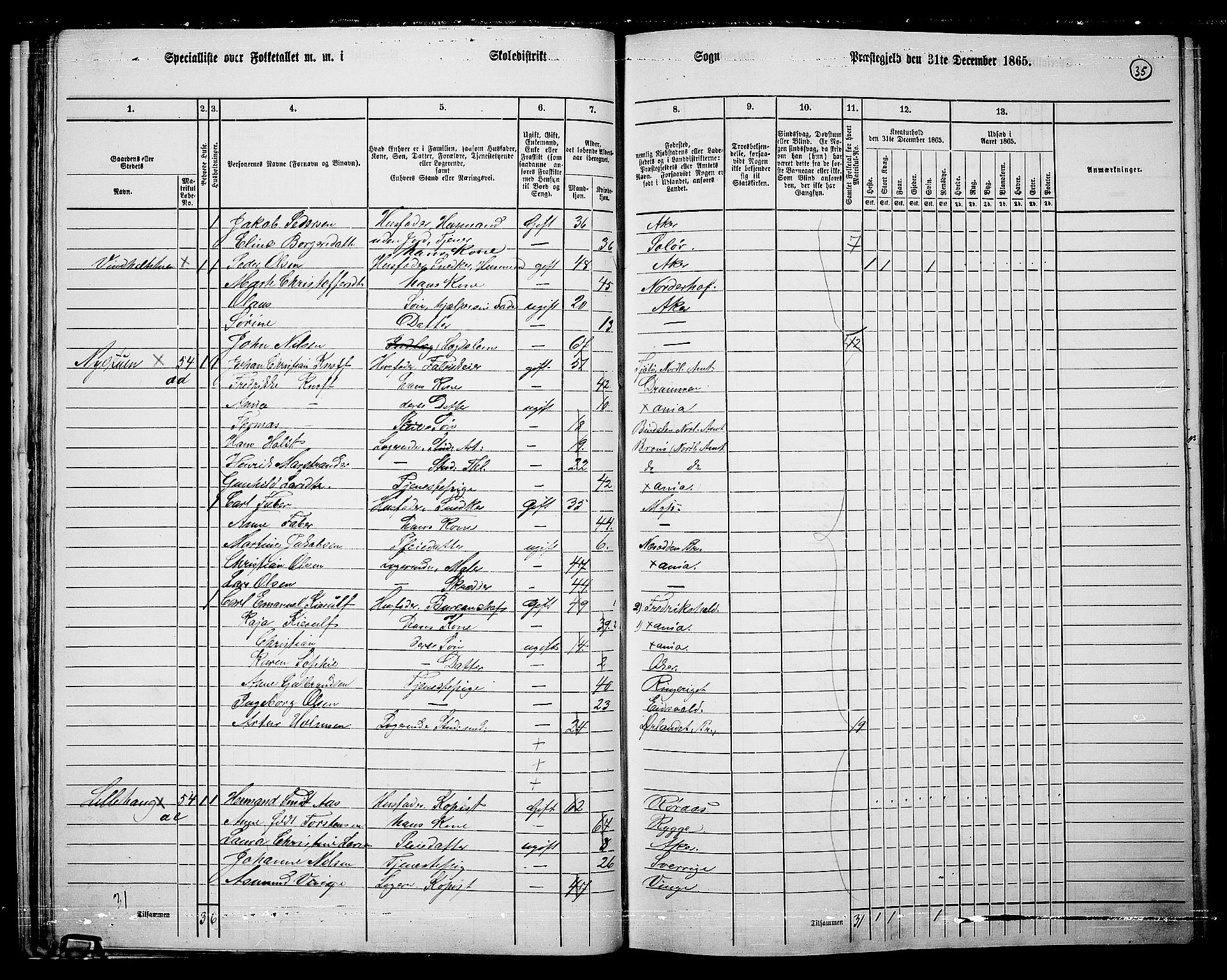 RA, 1865 census for Vestre Aker, 1865, p. 32