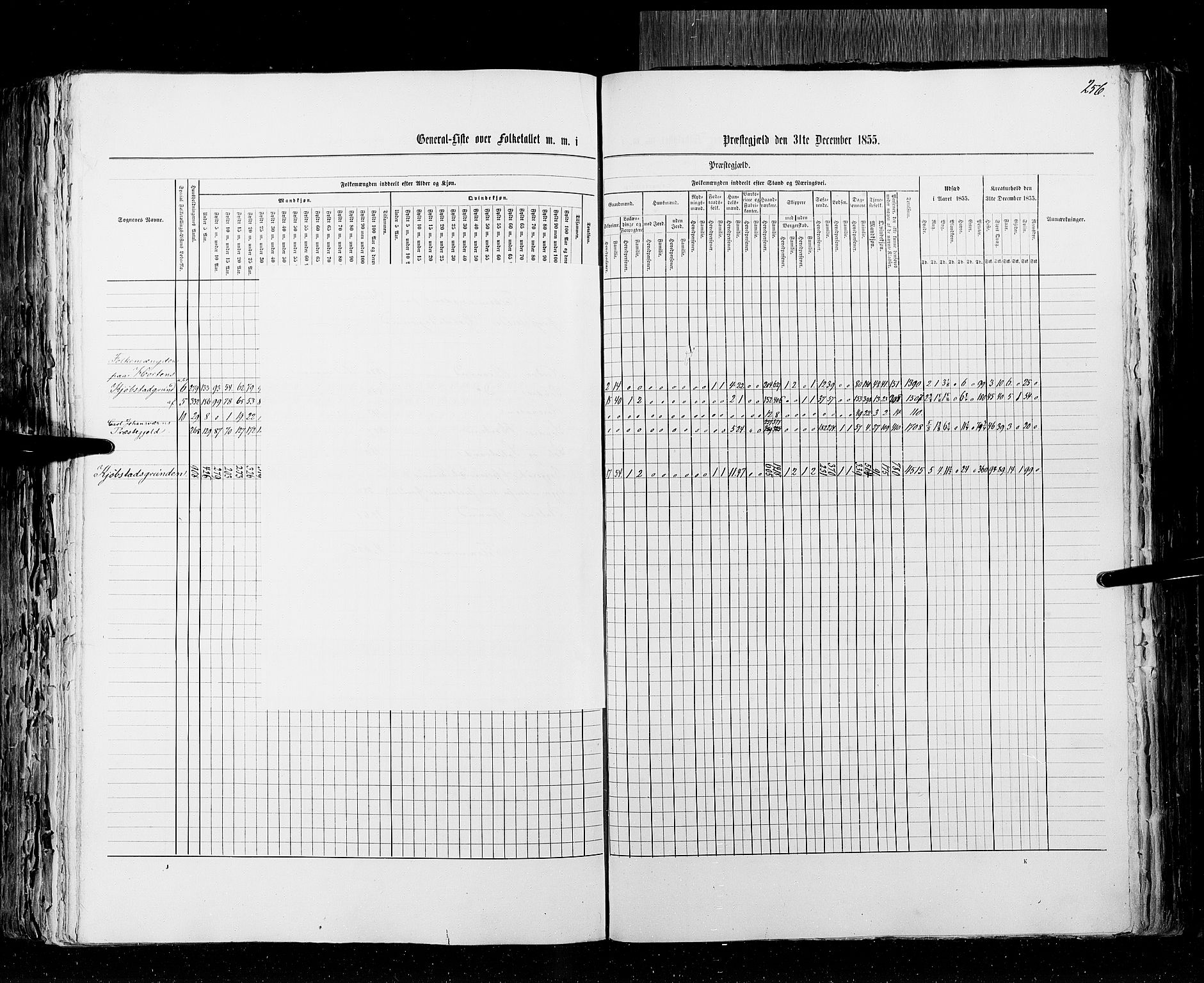 RA, Census 1855, vol. 2: Kristians amt, Buskerud amt og Jarlsberg og Larvik amt, 1855, p. 256