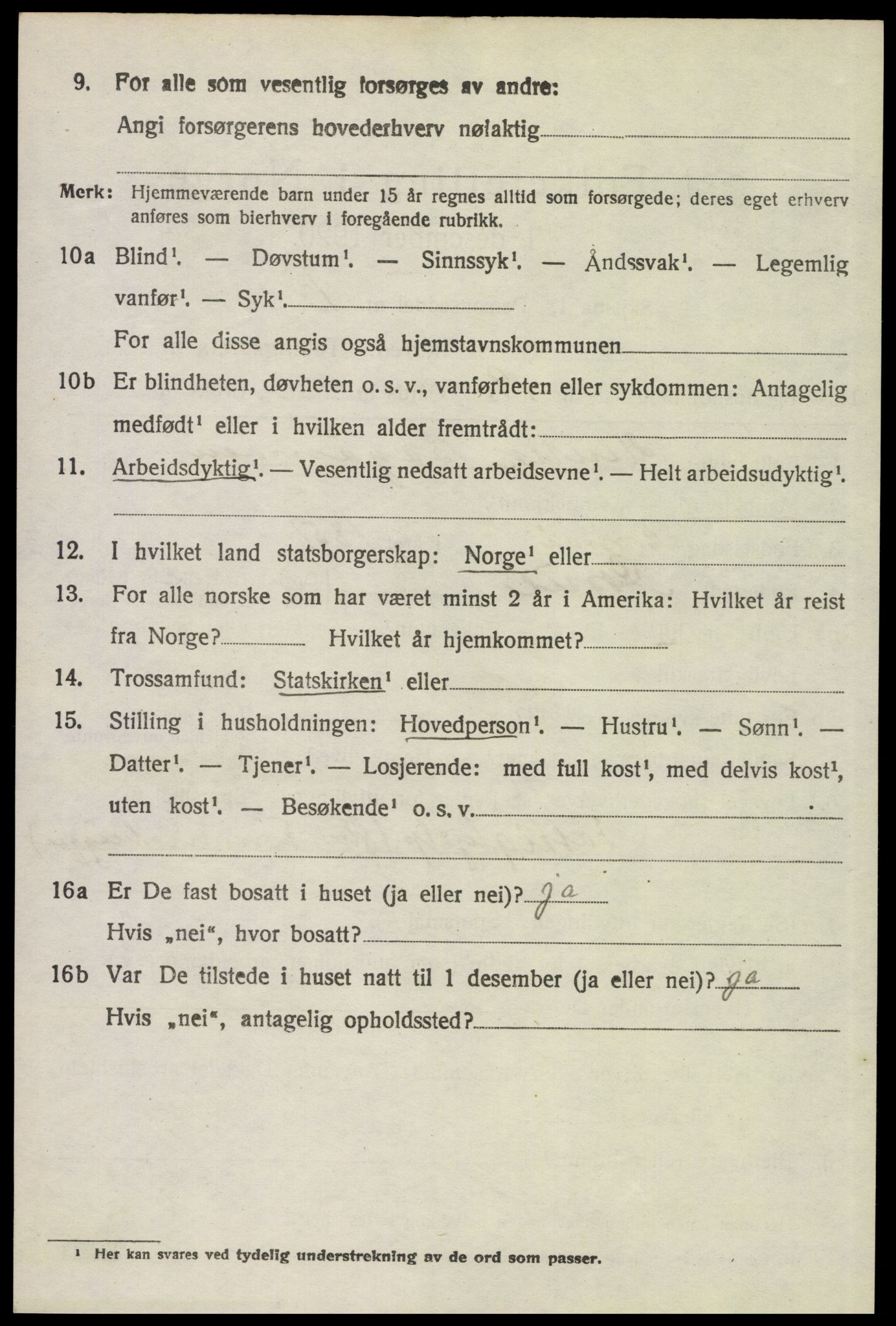 SAH, 1920 census for Åsnes, 1920, p. 8685