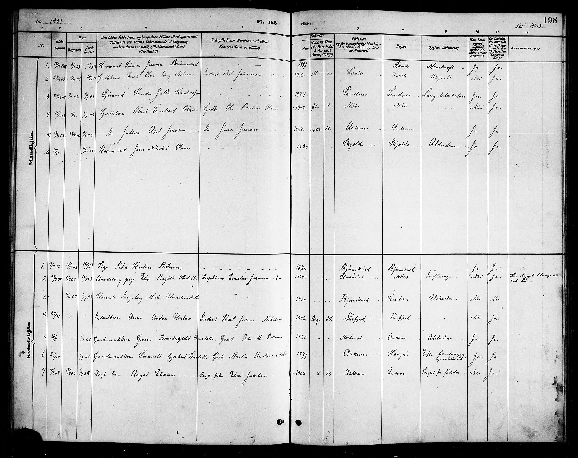 Ministerialprotokoller, klokkerbøker og fødselsregistre - Nordland, SAT/A-1459/898/L1427: Parish register (copy) no. 898C02, 1887-1917, p. 198