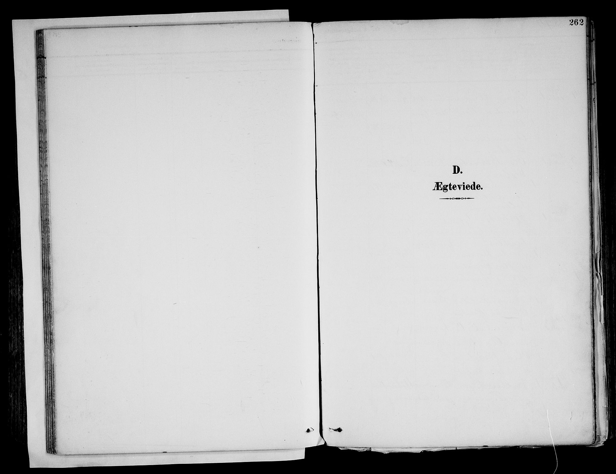 Brandval prestekontor, AV/SAH-PREST-034/H/Ha/Haa/L0003: Parish register (official) no. 3, 1894-1909, p. 262