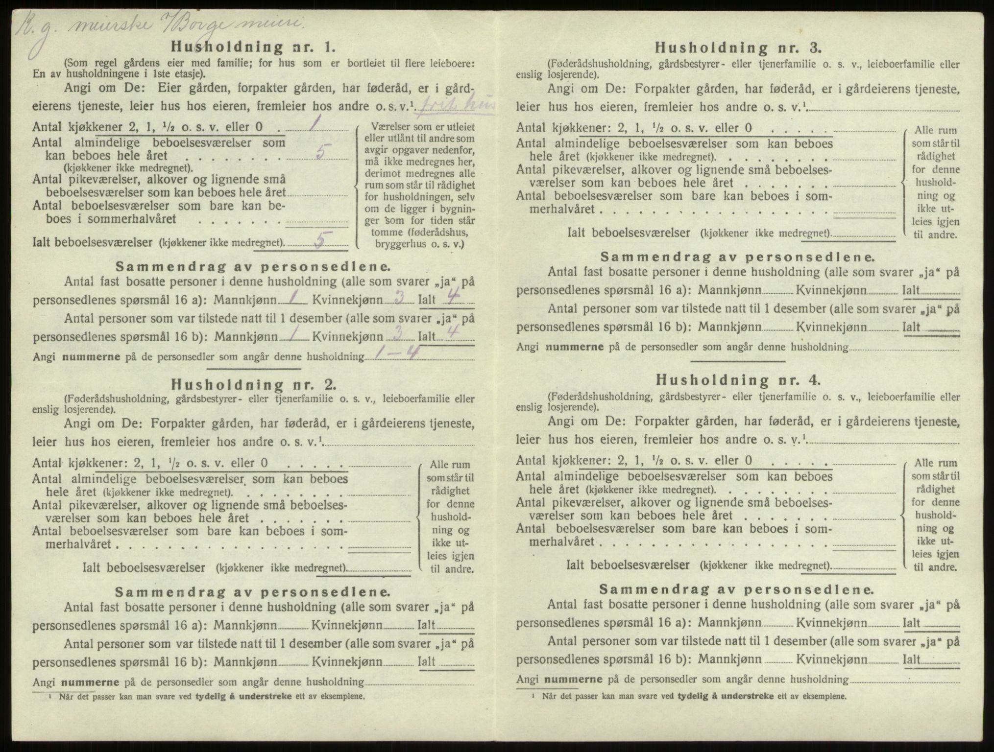 SAO, 1920 census for Borge, 1920, p. 40