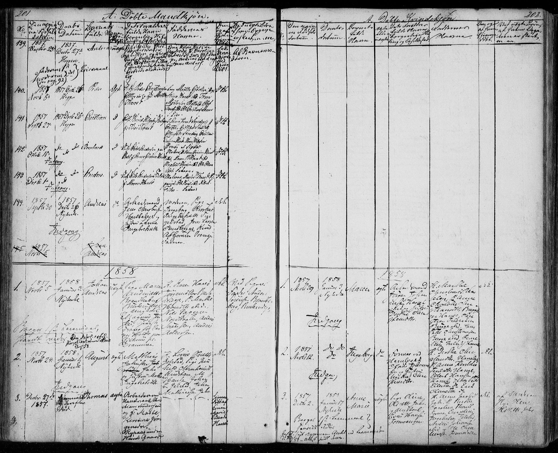 Modum kirkebøker, SAKO/A-234/F/Fa/L0008: Parish register (official) no. 8, 1851-1859, p. 201-202