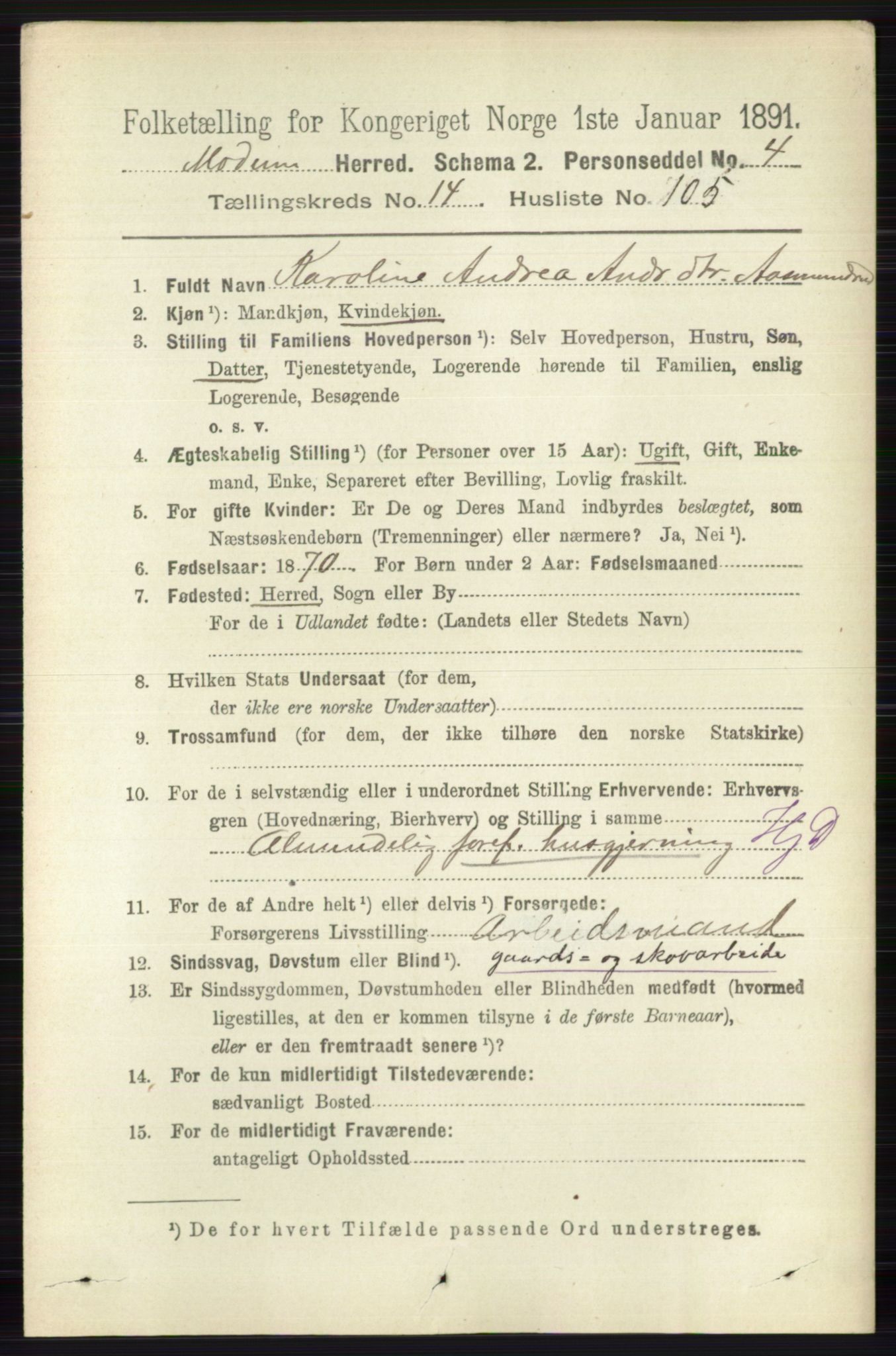 RA, 1891 census for 0623 Modum, 1891, p. 6105