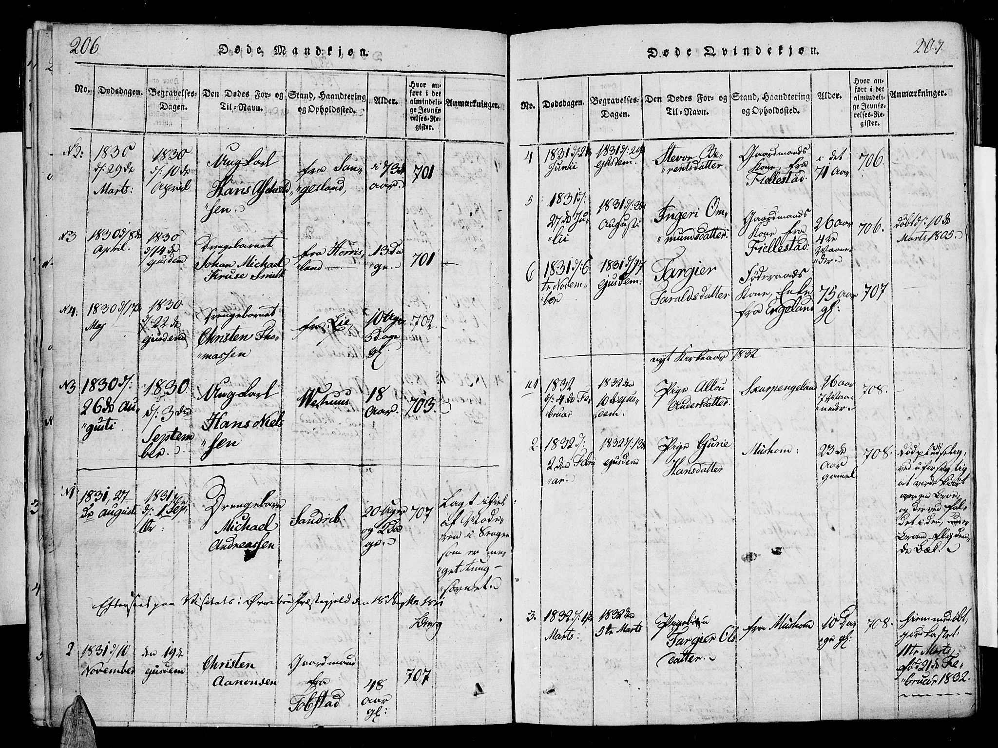 Vennesla sokneprestkontor, AV/SAK-1111-0045/Fa/Fac/L0003: Parish register (official) no. A 3, 1820-1834, p. 206-207