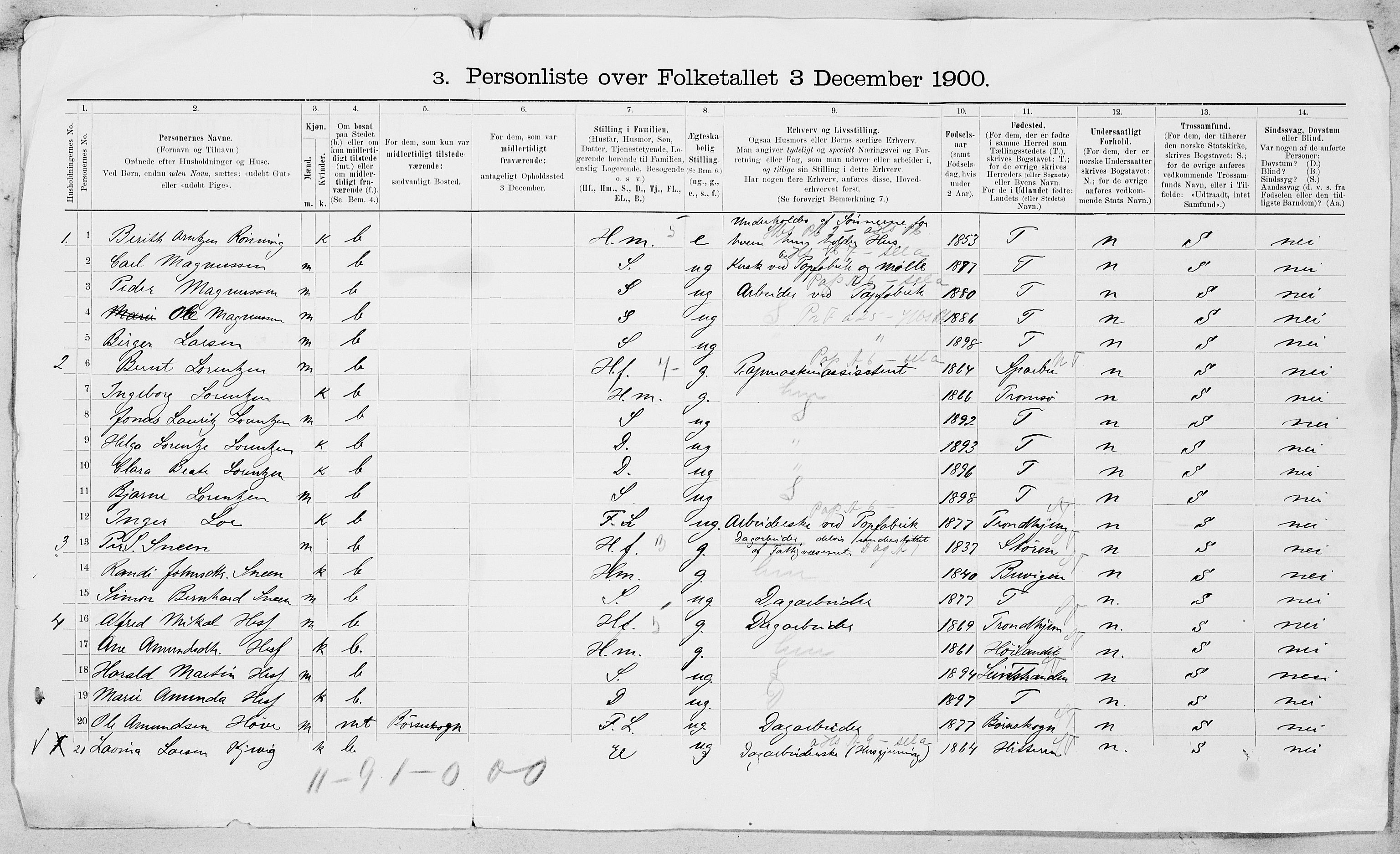 SAT, 1900 census for Strinda, 1900, p. 29