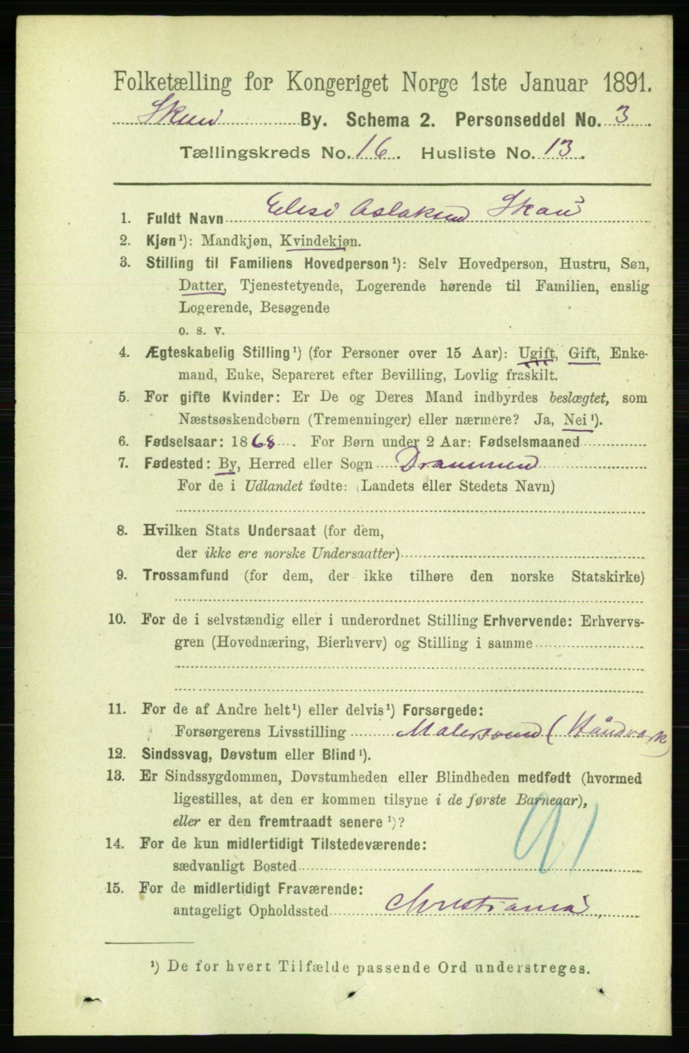 RA, 1891 census for 0806 Skien, 1891, p. 4647