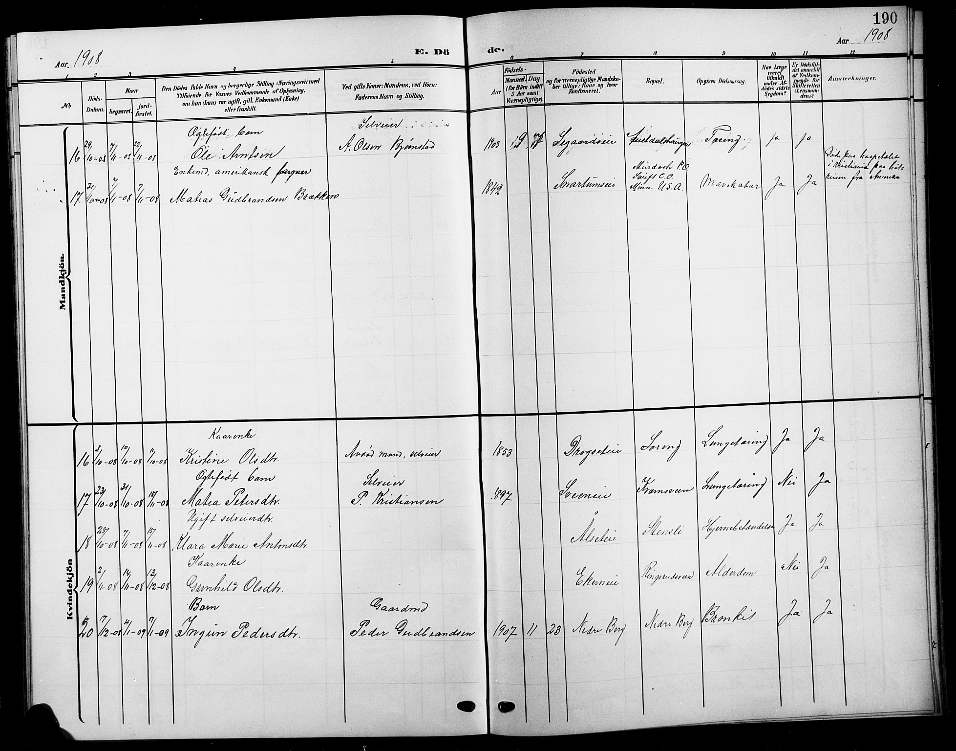 Biri prestekontor, SAH/PREST-096/H/Ha/Hab/L0005: Parish register (copy) no. 5, 1906-1919, p. 190