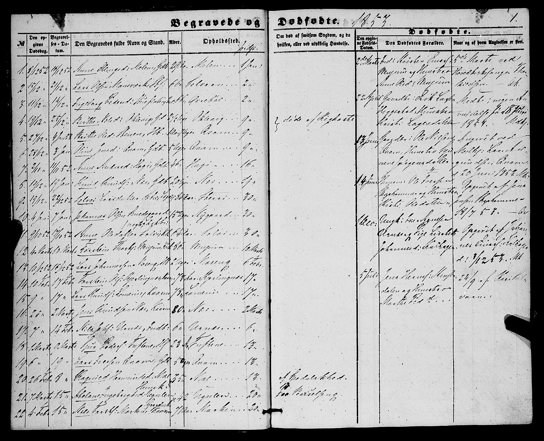 Hafslo sokneprestembete, AV/SAB-A-80301/H/Haa/Haaa/L0010: Parish register (official) no. A 10, 1853-1876, p. 1