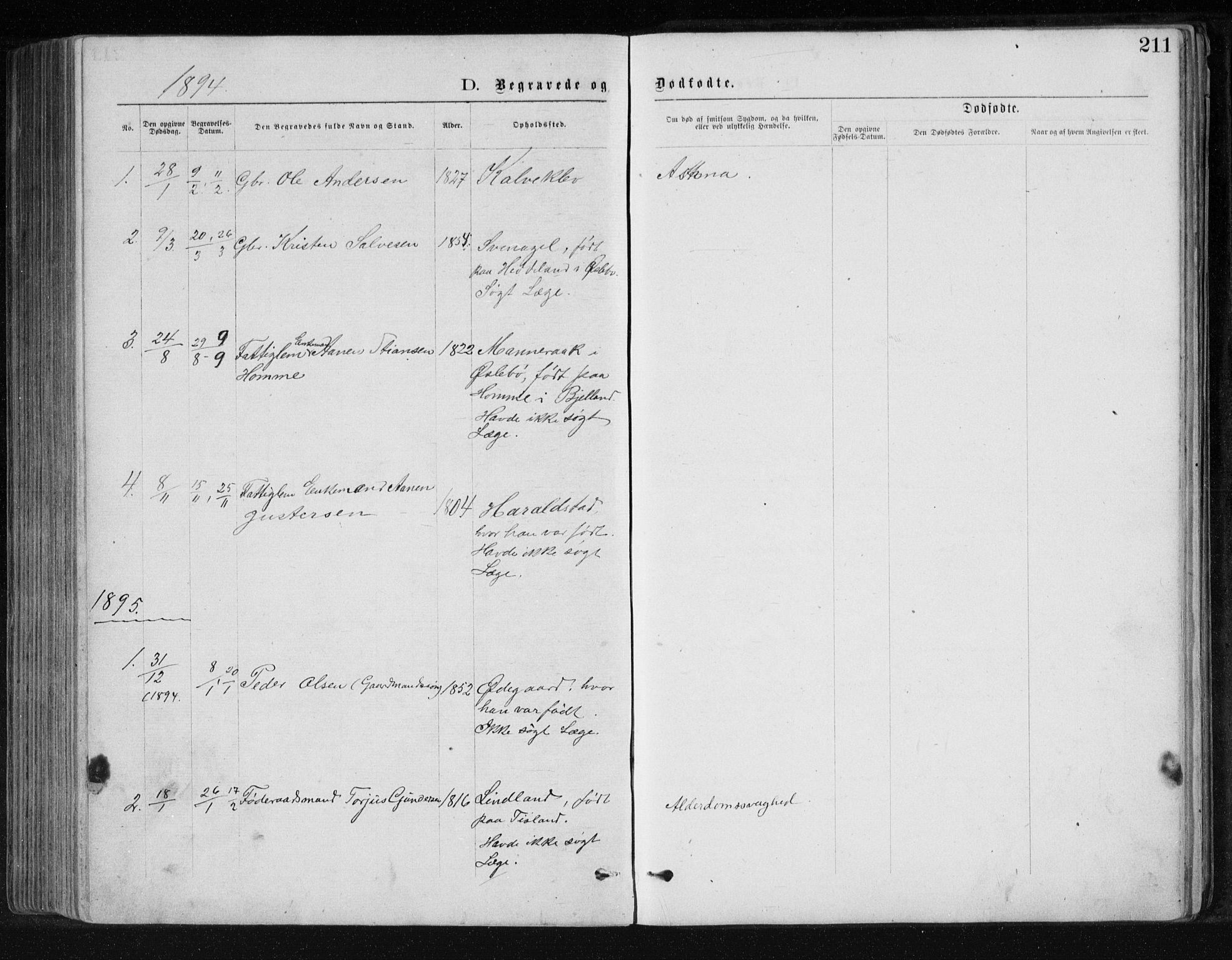 Holum sokneprestkontor, SAK/1111-0022/F/Fb/Fbb/L0003: Parish register (copy) no. B 3, 1875-1898, p. 211