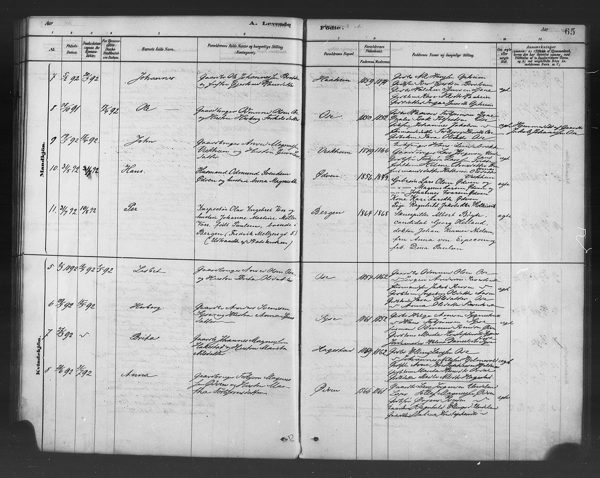 Ulvik sokneprestembete, SAB/A-78801/H/Haa: Parish register (official) no. B 1, 1878-1897, p. 65