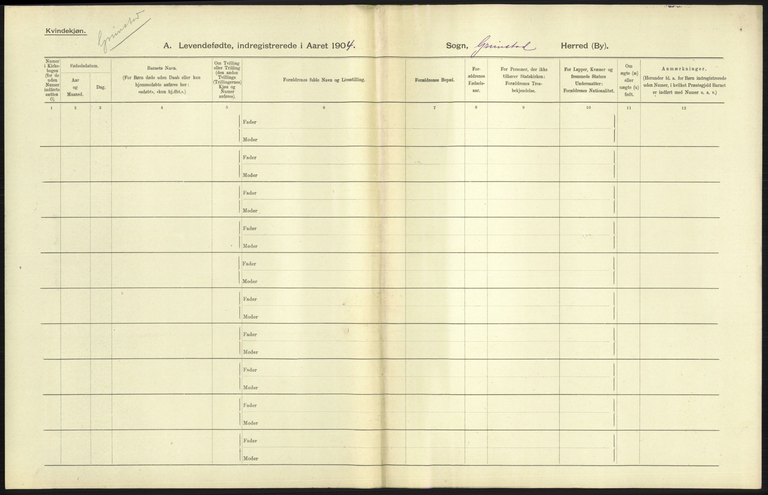Statistisk sentralbyrå, Sosiodemografiske emner, Befolkning, AV/RA-S-2228/D/Df/Dfa/Dfab/L0010: Nedenes amt: Fødte, gifte, døde, 1904, p. 249