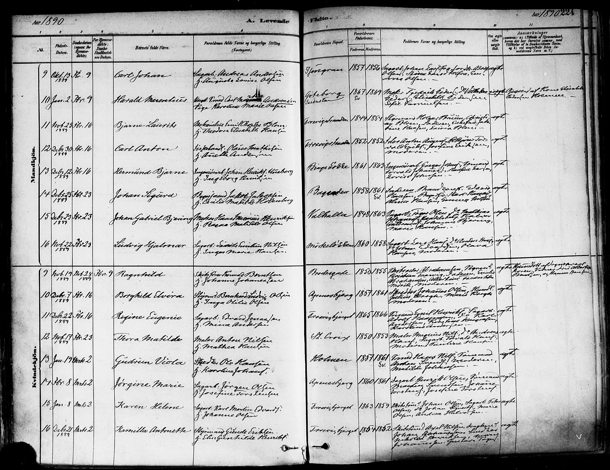 Fredrikstad domkirkes prestekontor Kirkebøker, SAO/A-10906/F/Fa/L0002: Parish register (official) no. 2, 1878-1894, p. 224