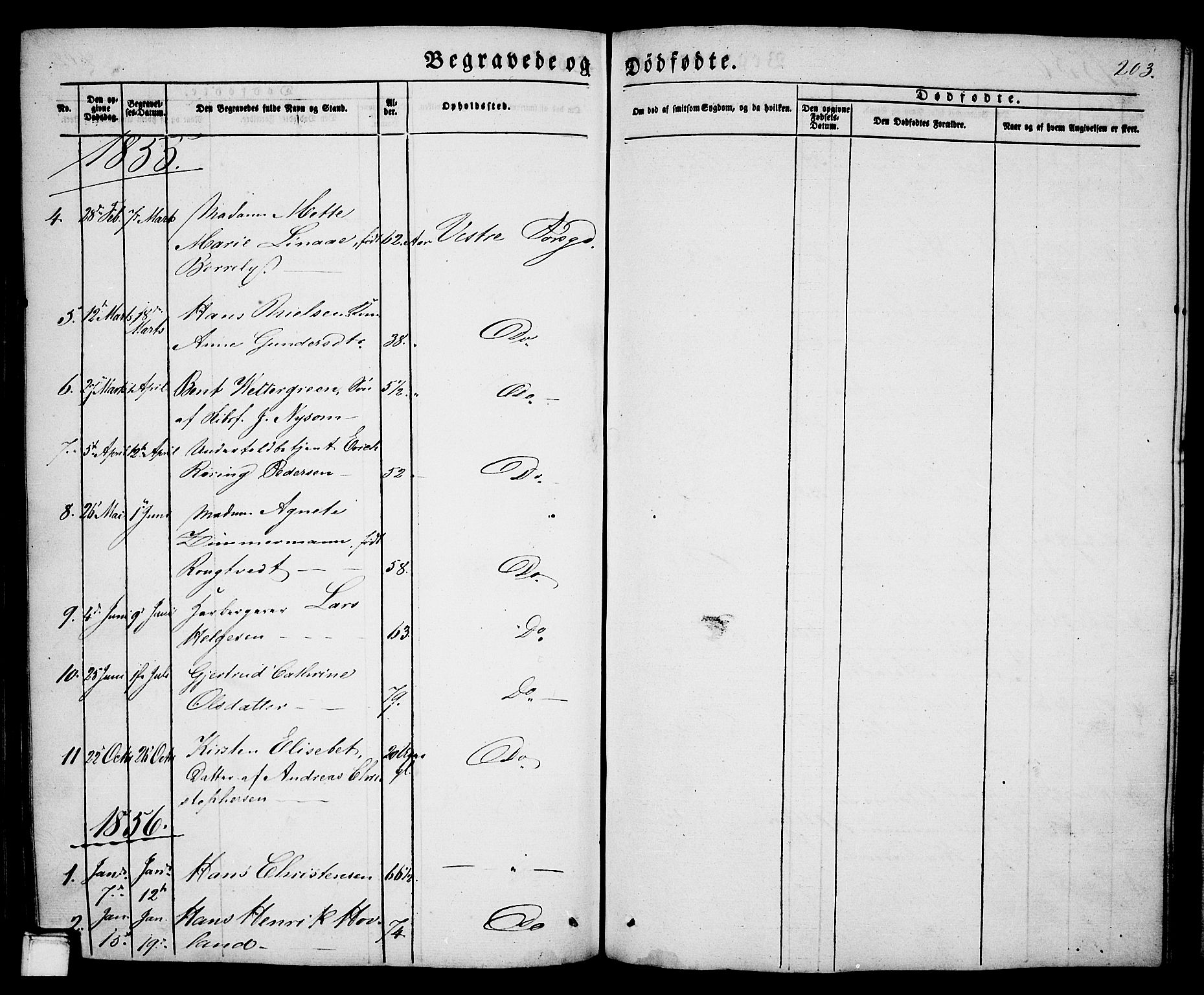 Porsgrunn kirkebøker , SAKO/A-104/G/Ga/L0002: Parish register (copy) no. I 2, 1847-1877, p. 203
