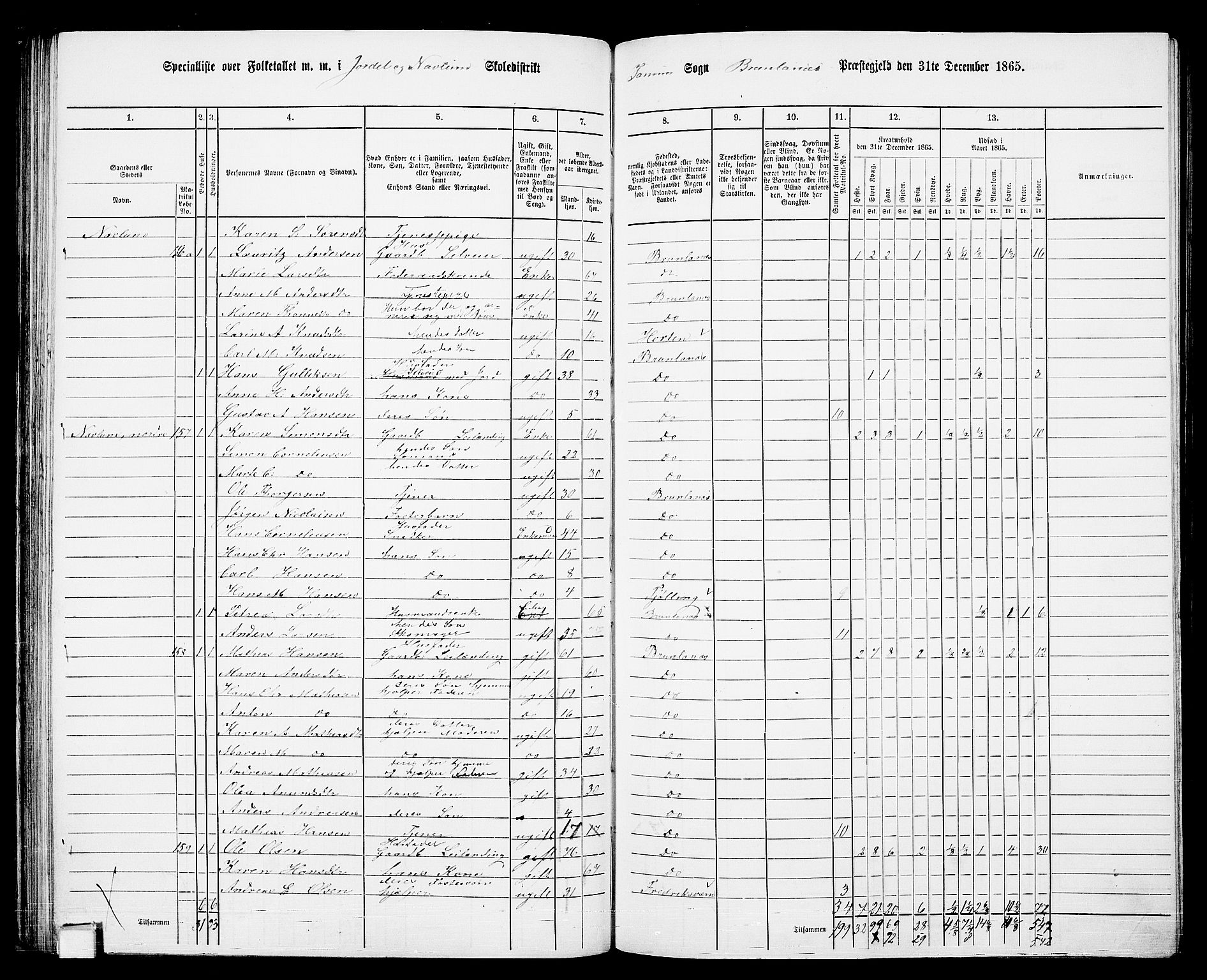 RA, 1865 census for Brunlanes, 1865, p. 75