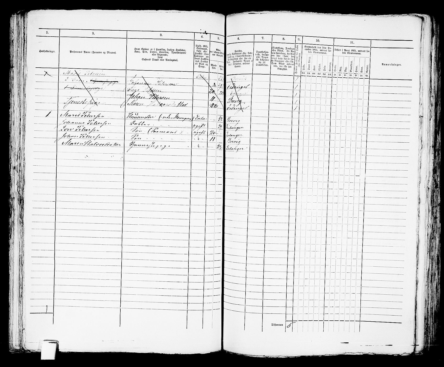 RA, 1865 census for Brevik, 1865, p. 539