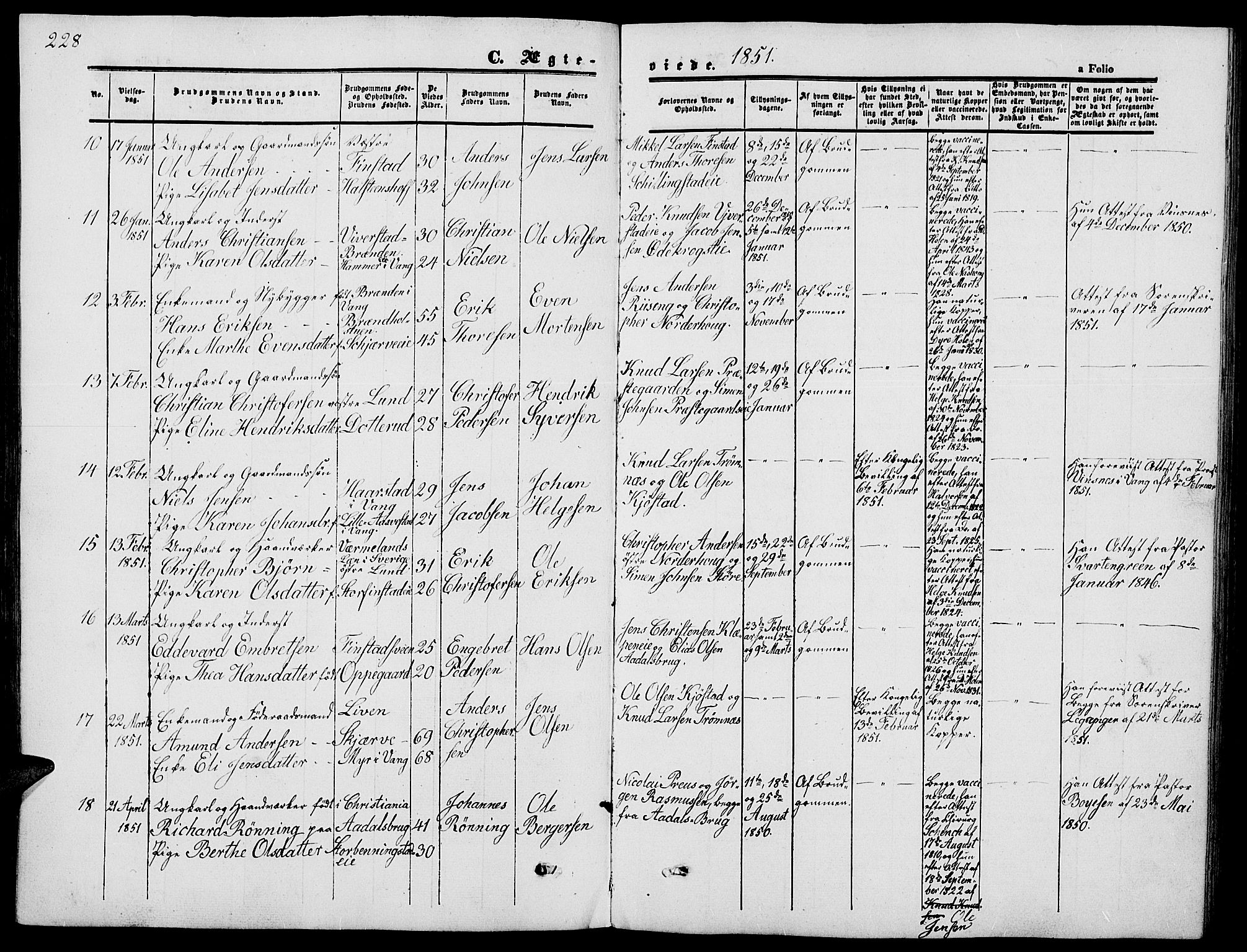 Løten prestekontor, AV/SAH-PREST-022/L/La/L0003: Parish register (copy) no. 3, 1850-1862, p. 228