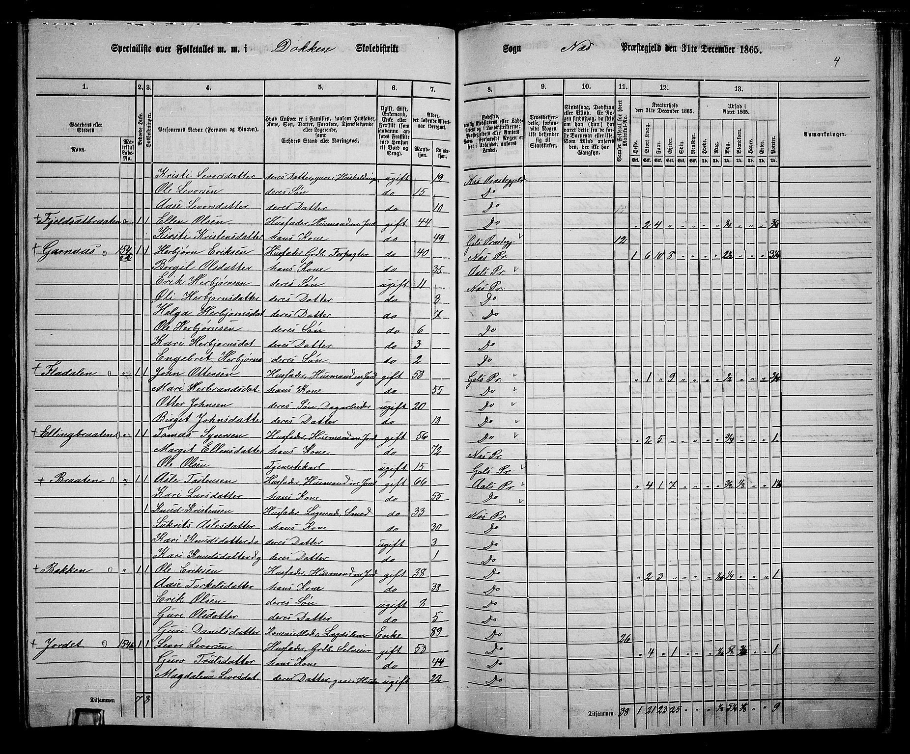 RA, 1865 census for Nes, 1865, p. 143