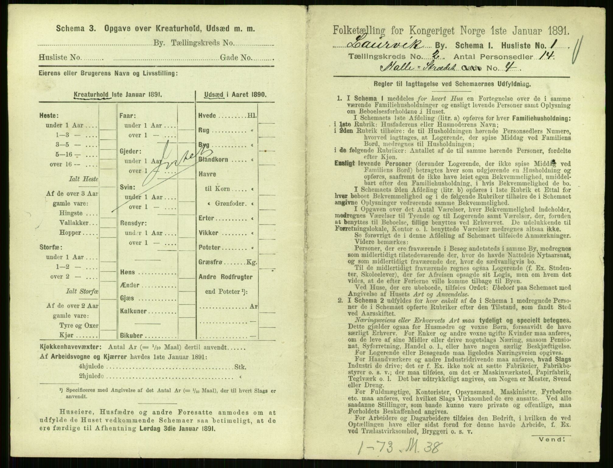 RA, 1891 census for 0707 Larvik, 1891, p. 221