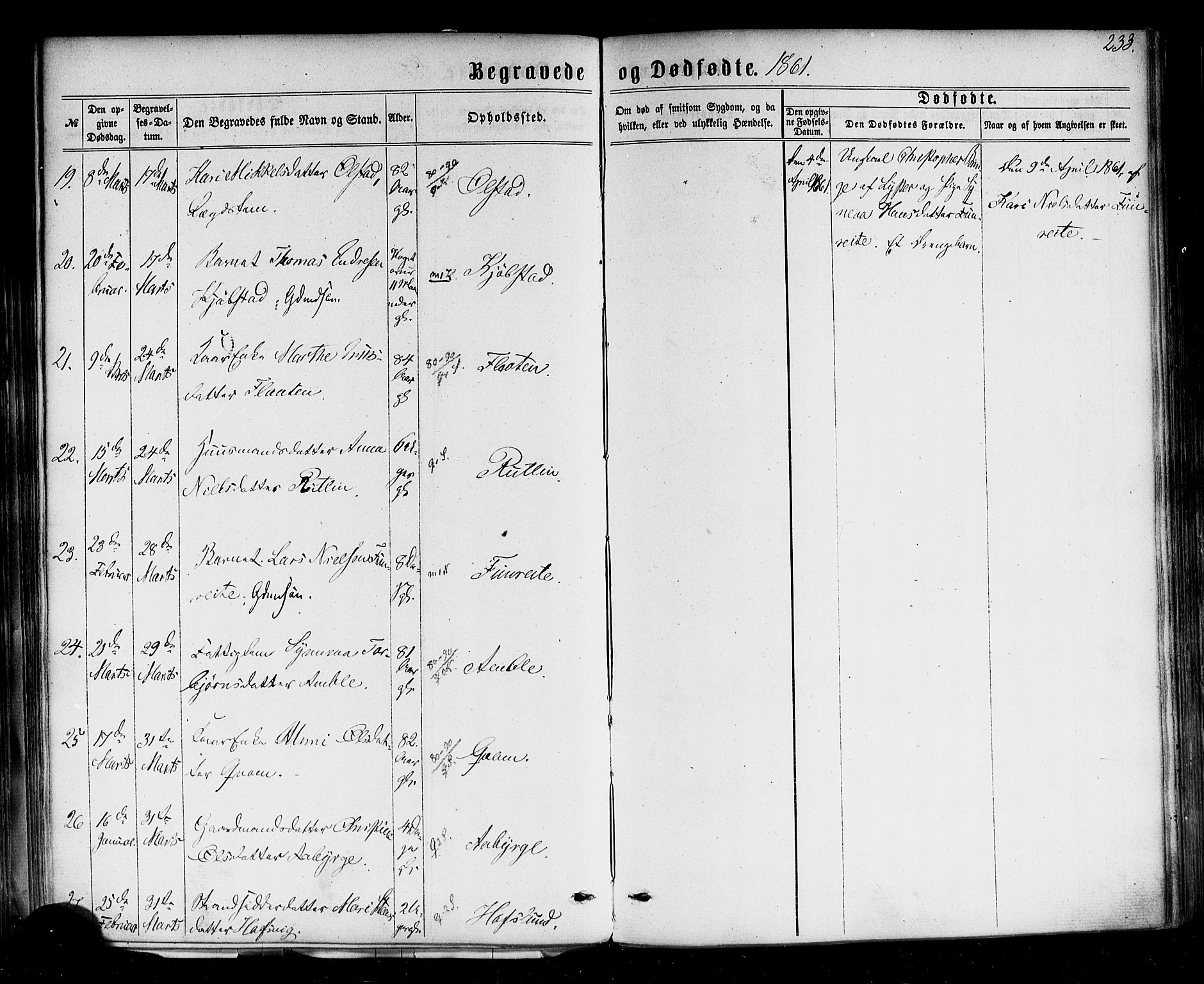 Sogndal sokneprestembete, AV/SAB-A-81301/H/Haa/Haaa/L0013: Parish register (official) no. A 13, 1859-1877, p. 233