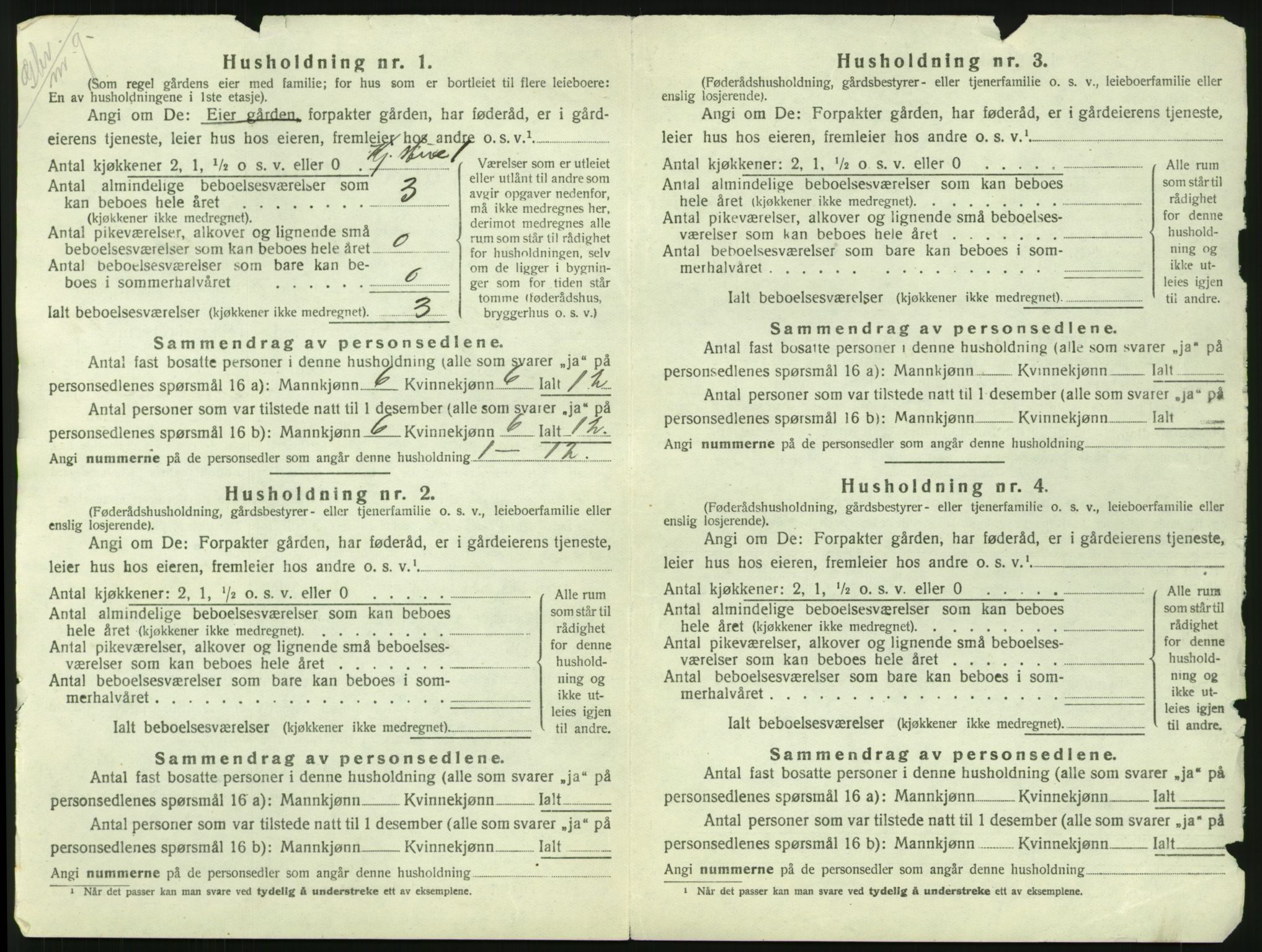 SAH, 1920 census for Skjåk, 1920, p. 819