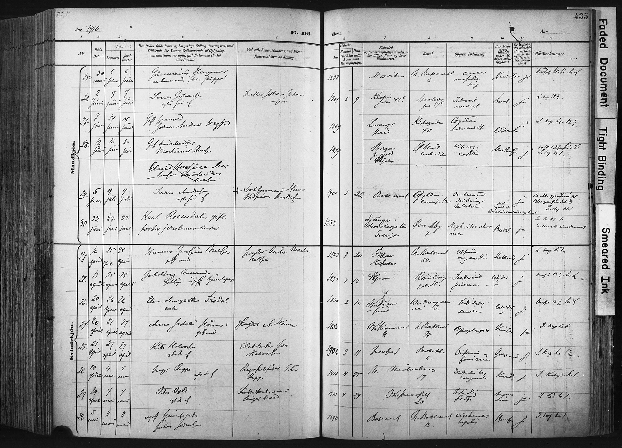 Ministerialprotokoller, klokkerbøker og fødselsregistre - Sør-Trøndelag, AV/SAT-A-1456/604/L0201: Parish register (official) no. 604A21, 1901-1911, p. 435