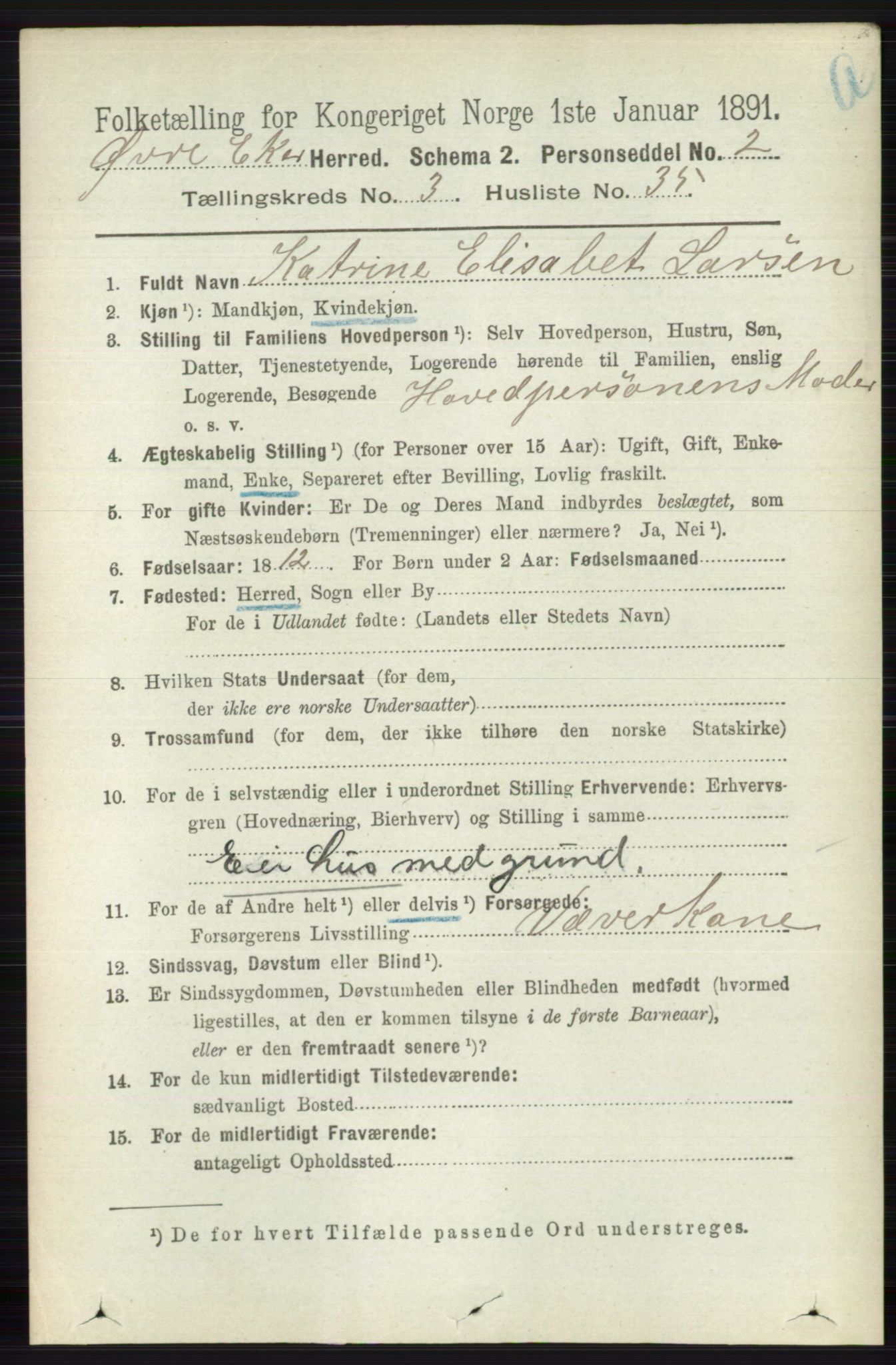 RA, 1891 census for 0624 Øvre Eiker, 1891, p. 1206