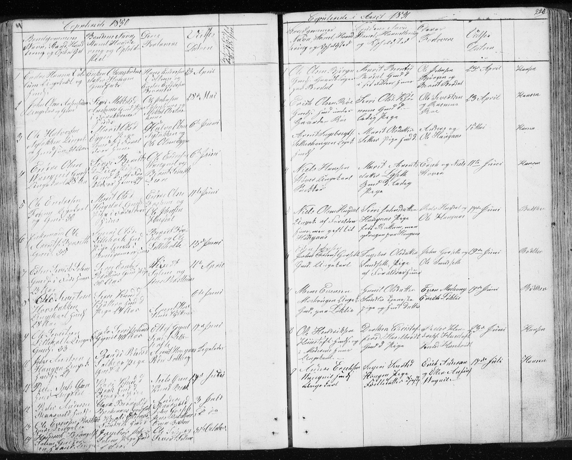 Ministerialprotokoller, klokkerbøker og fødselsregistre - Sør-Trøndelag, AV/SAT-A-1456/689/L1043: Parish register (copy) no. 689C02, 1816-1892, p. 220