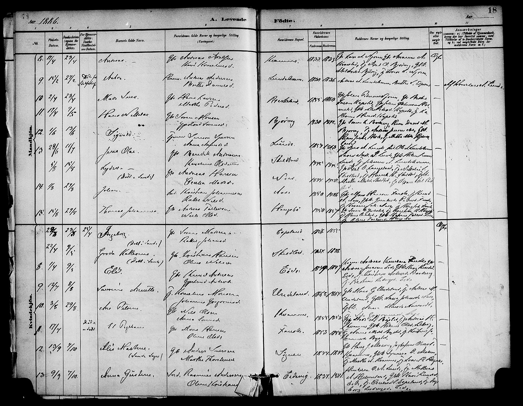 Gaular sokneprestembete, AV/SAB-A-80001/H/Haa: Parish register (official) no. C 1, 1882-1897, p. 18