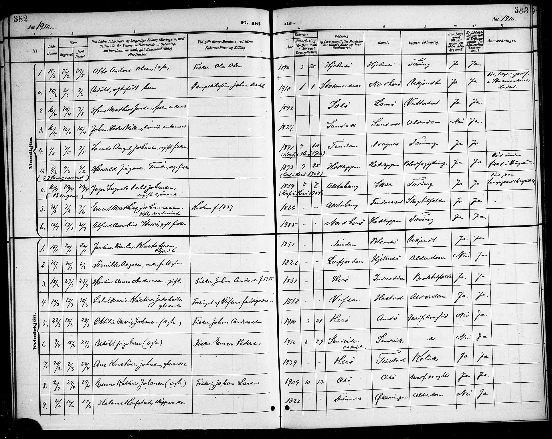 Ministerialprotokoller, klokkerbøker og fødselsregistre - Nordland, AV/SAT-A-1459/834/L0516: Parish register (copy) no. 834C06, 1902-1918, p. 382-383