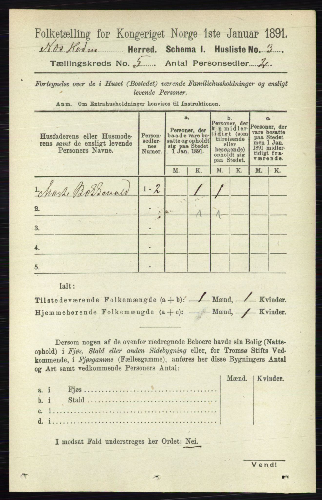 RA, 1891 census for 0411 Nes, 1891, p. 2523