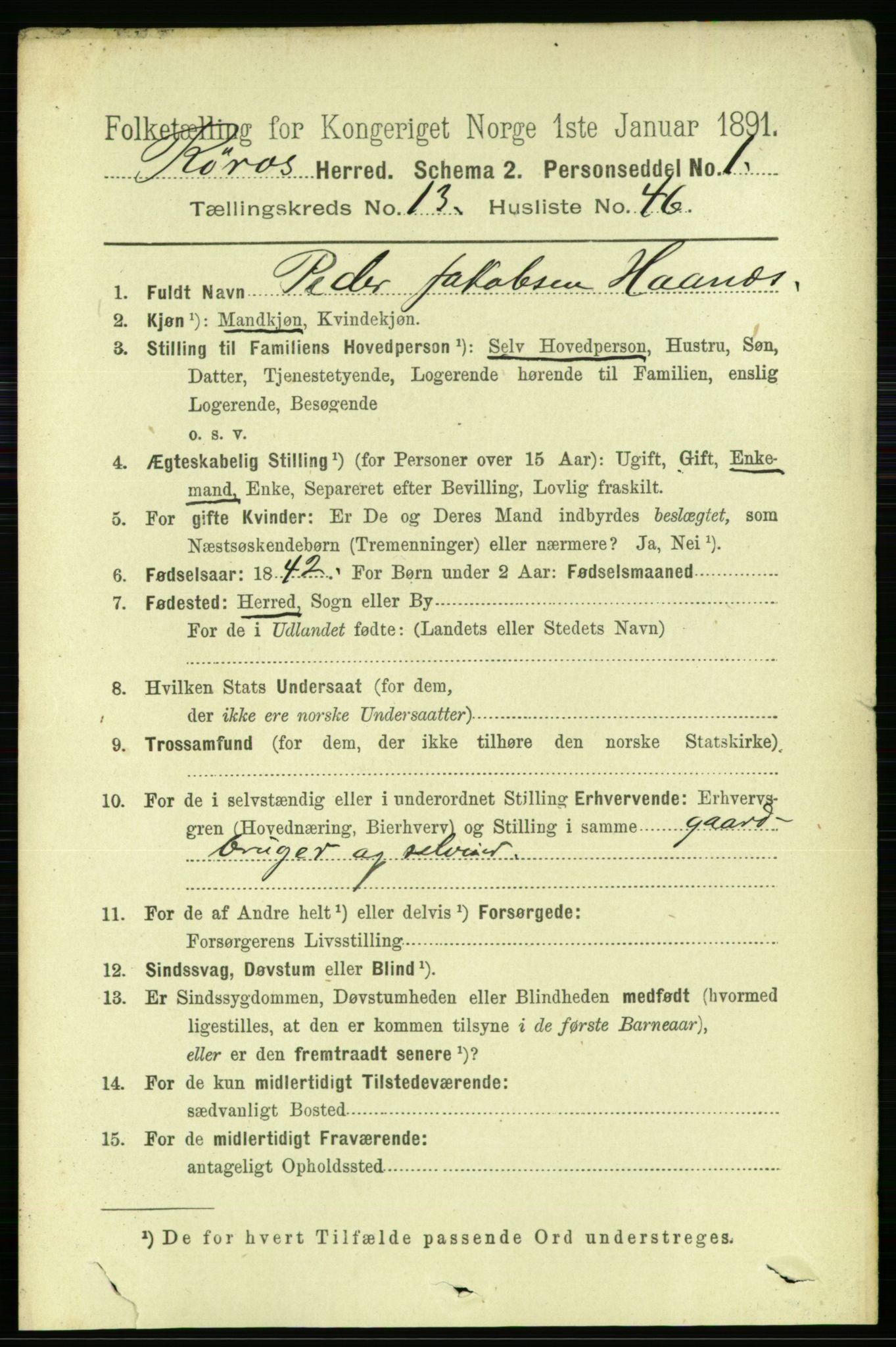 RA, 1891 census for 1640 Røros, 1891, p. 2797