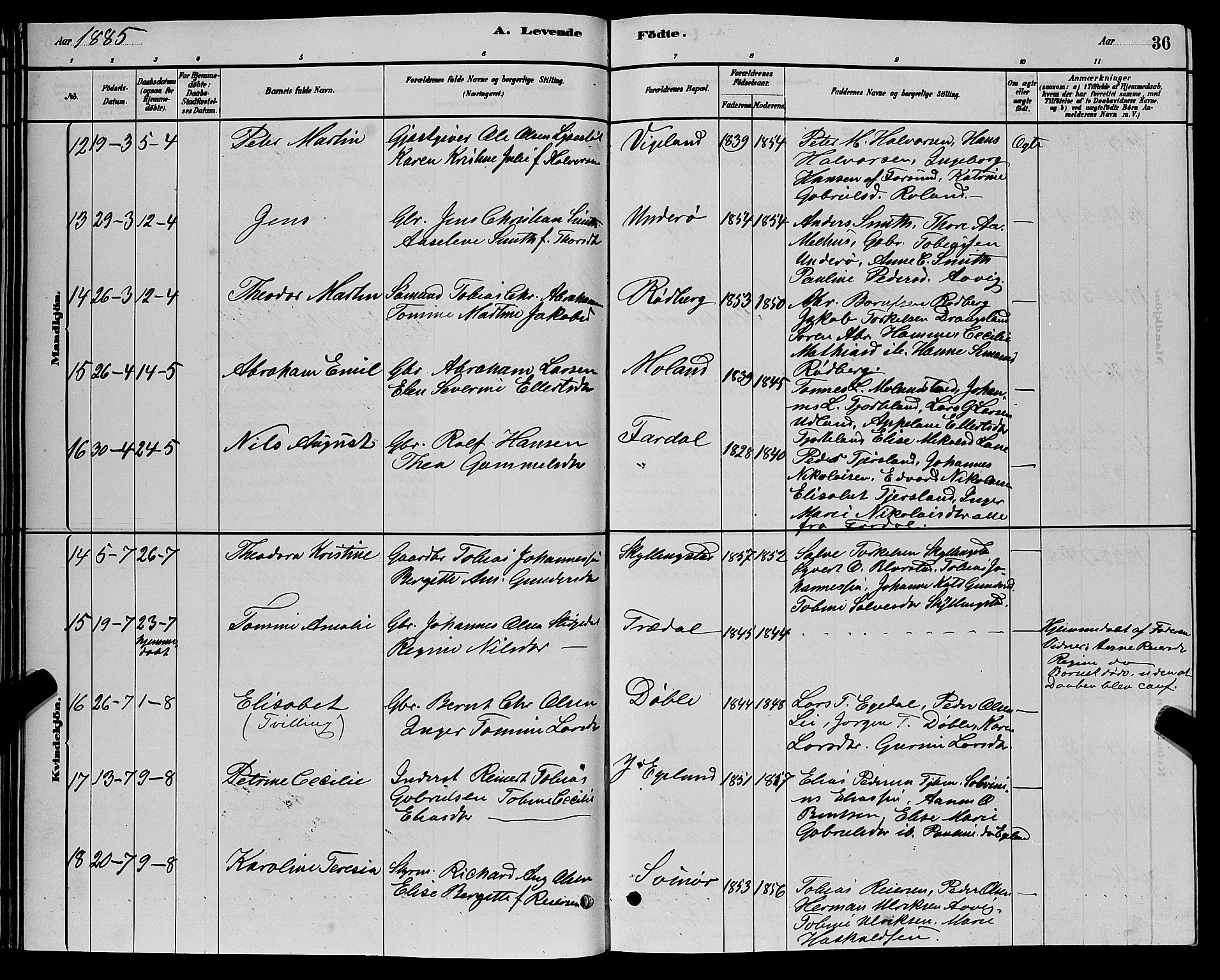 Sør-Audnedal sokneprestkontor, SAK/1111-0039/F/Fb/Fbb/L0005: Parish register (copy) no. B 5, 1880-1892, p. 36