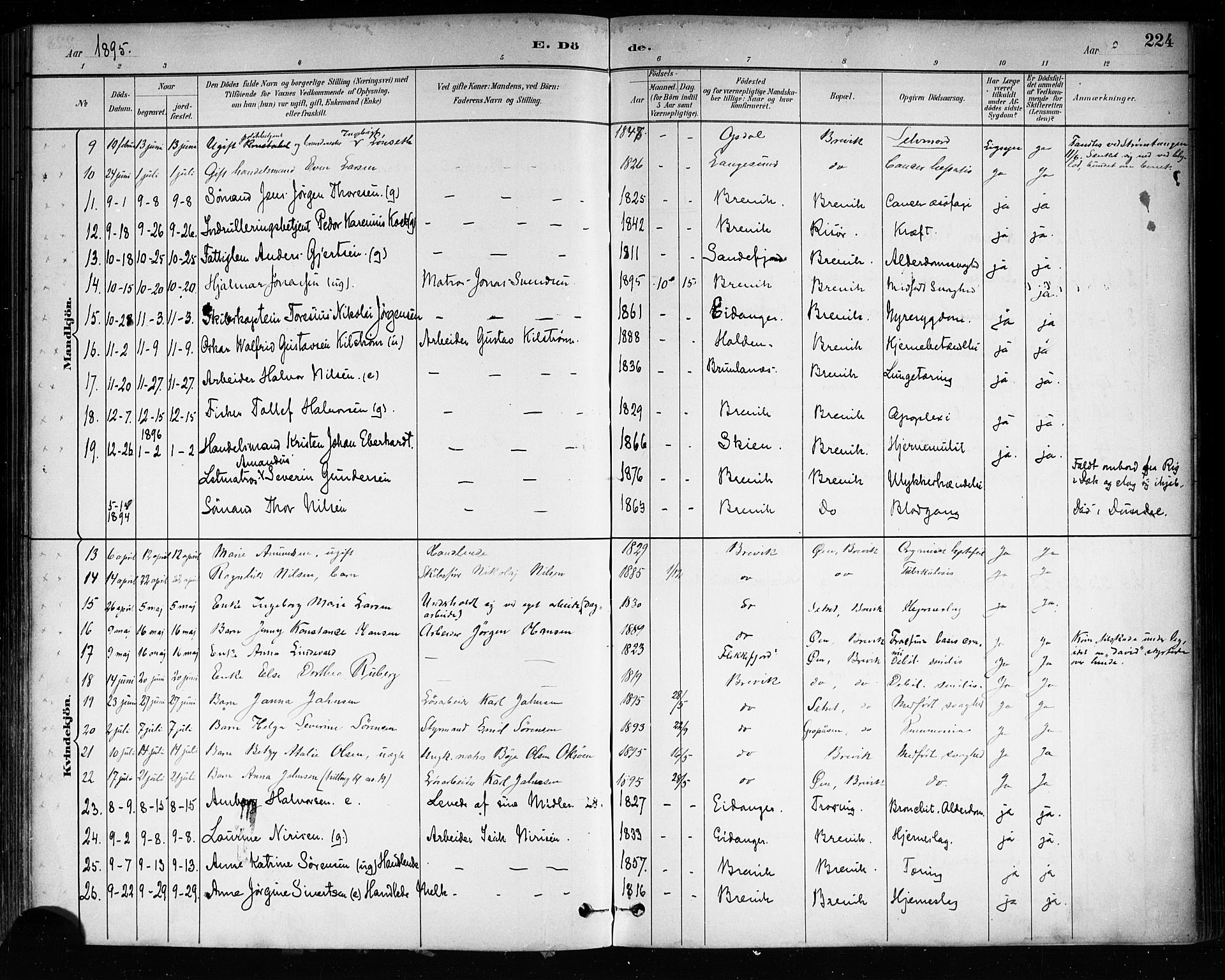 Brevik kirkebøker, SAKO/A-255/F/Fa/L0007: Parish register (official) no. 7, 1882-1900, p. 224