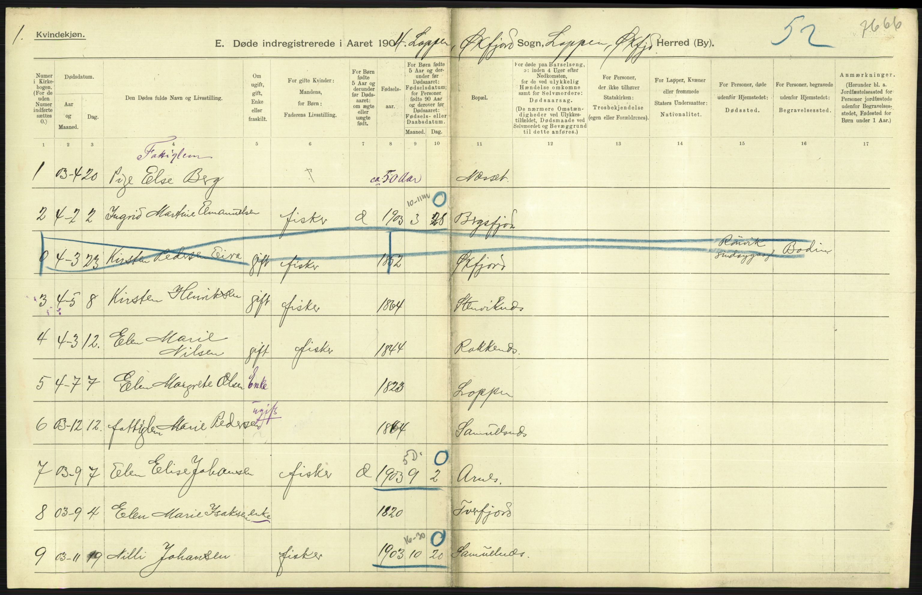 Statistisk sentralbyrå, Sosiodemografiske emner, Befolkning, AV/RA-S-2228/D/Df/Dfa/Dfab/L0023: Finnmarkens amt: Fødte, gifte, døde, 1904, p. 231