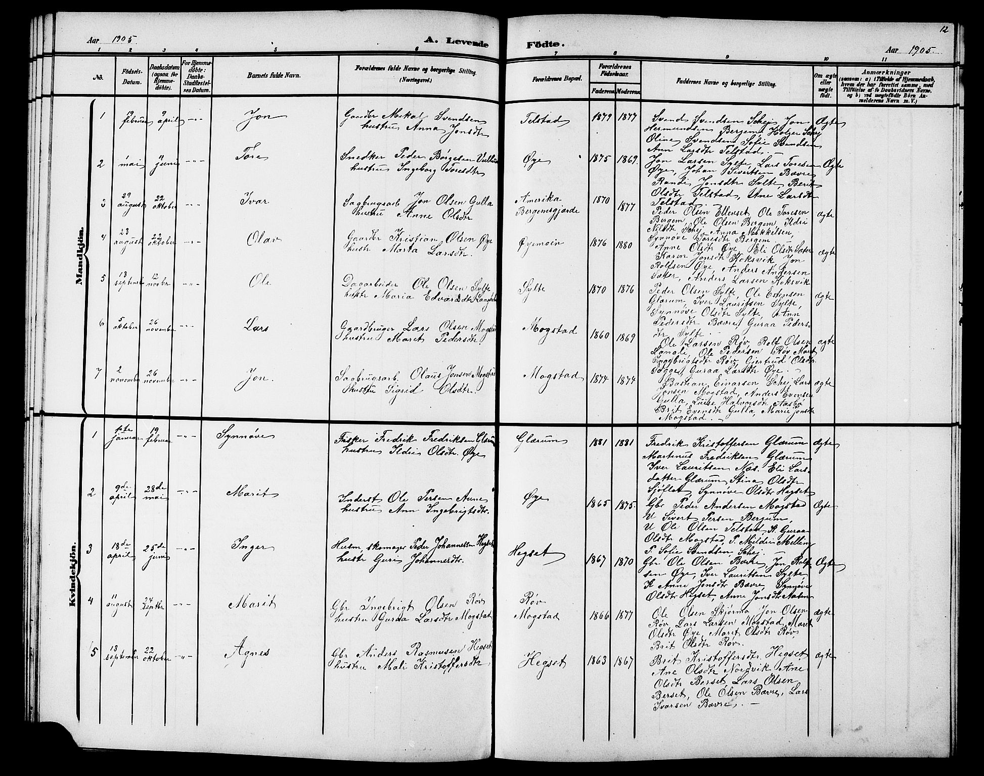 Ministerialprotokoller, klokkerbøker og fødselsregistre - Møre og Romsdal, AV/SAT-A-1454/595/L1053: Parish register (copy) no. 595C05, 1901-1919, p. 12